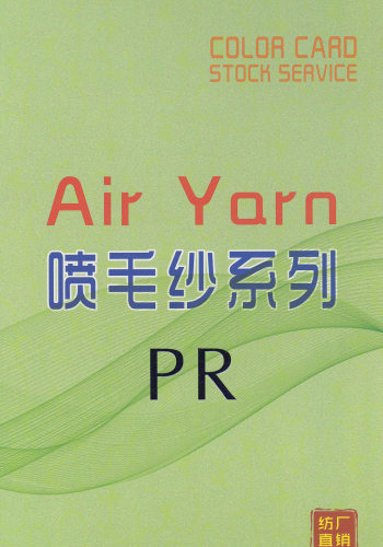 PR 1/5.5支毛腈涤弹力喷毛纱Air Yarn色卡