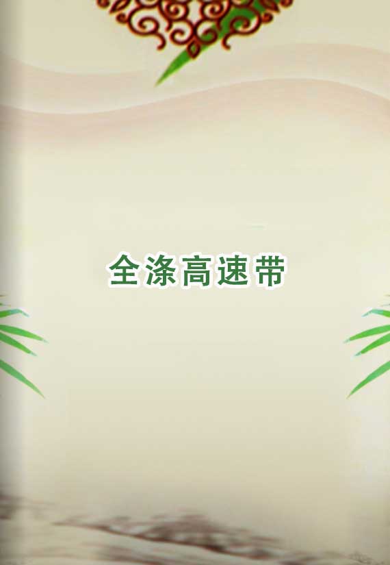 全滌高速帶