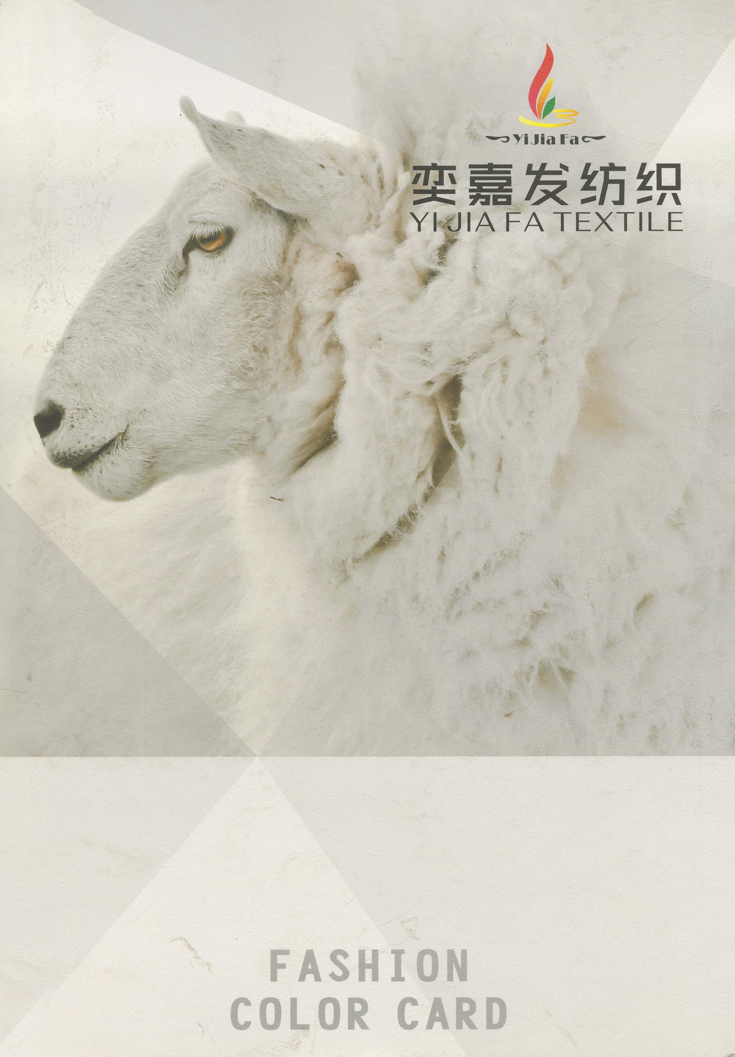 泰迪絨