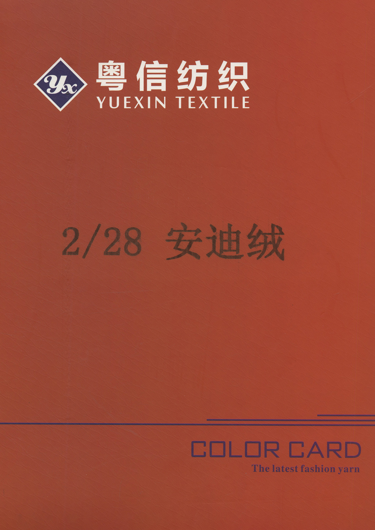 安迪絨