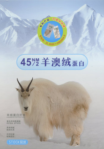 羊澳絨蛋白色卡