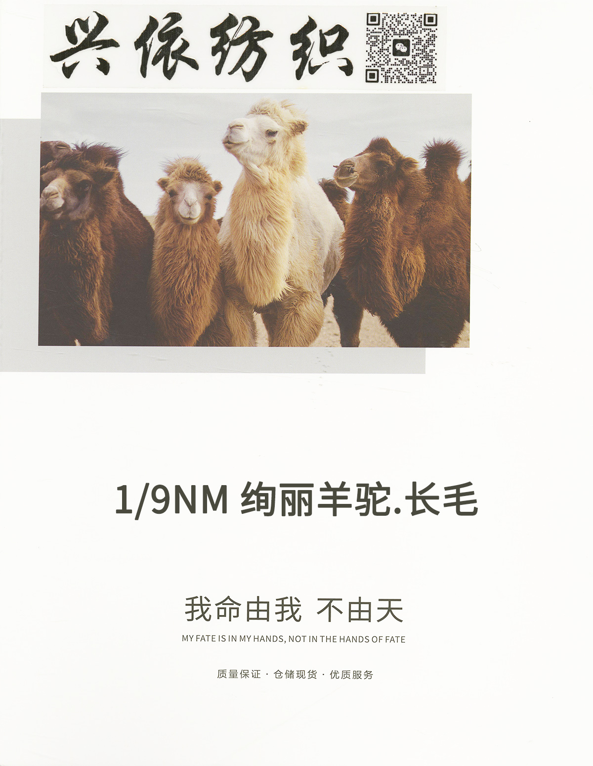 絢麗羊駝.長毛