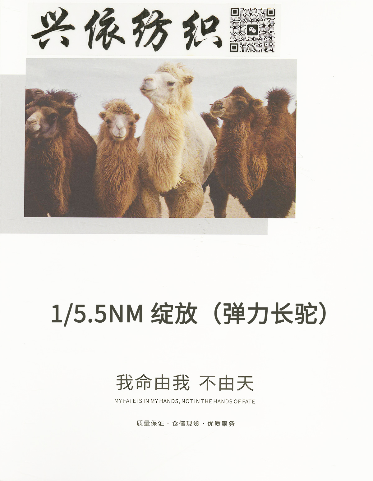 綻放（彈力長駝）