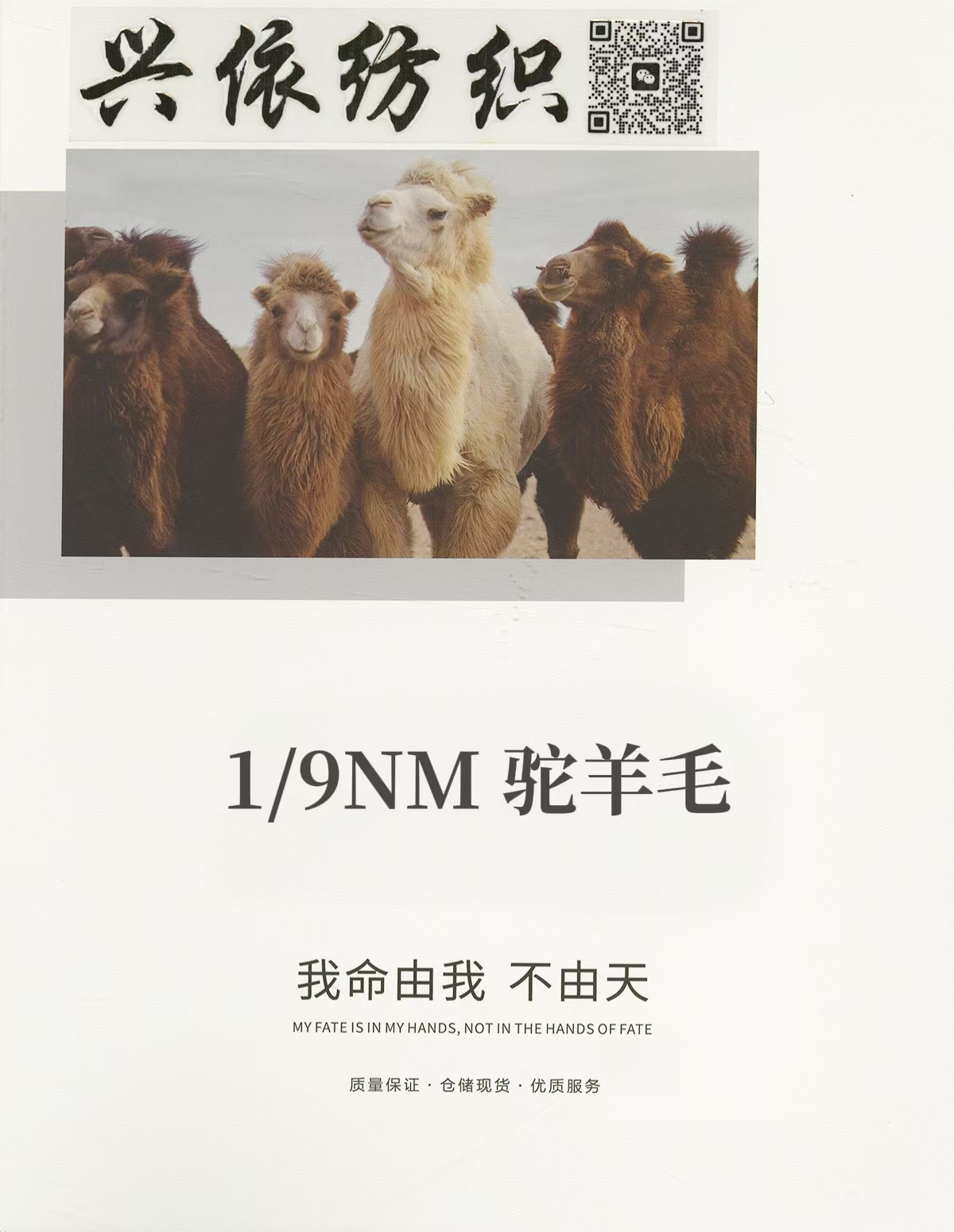 駝羊毛