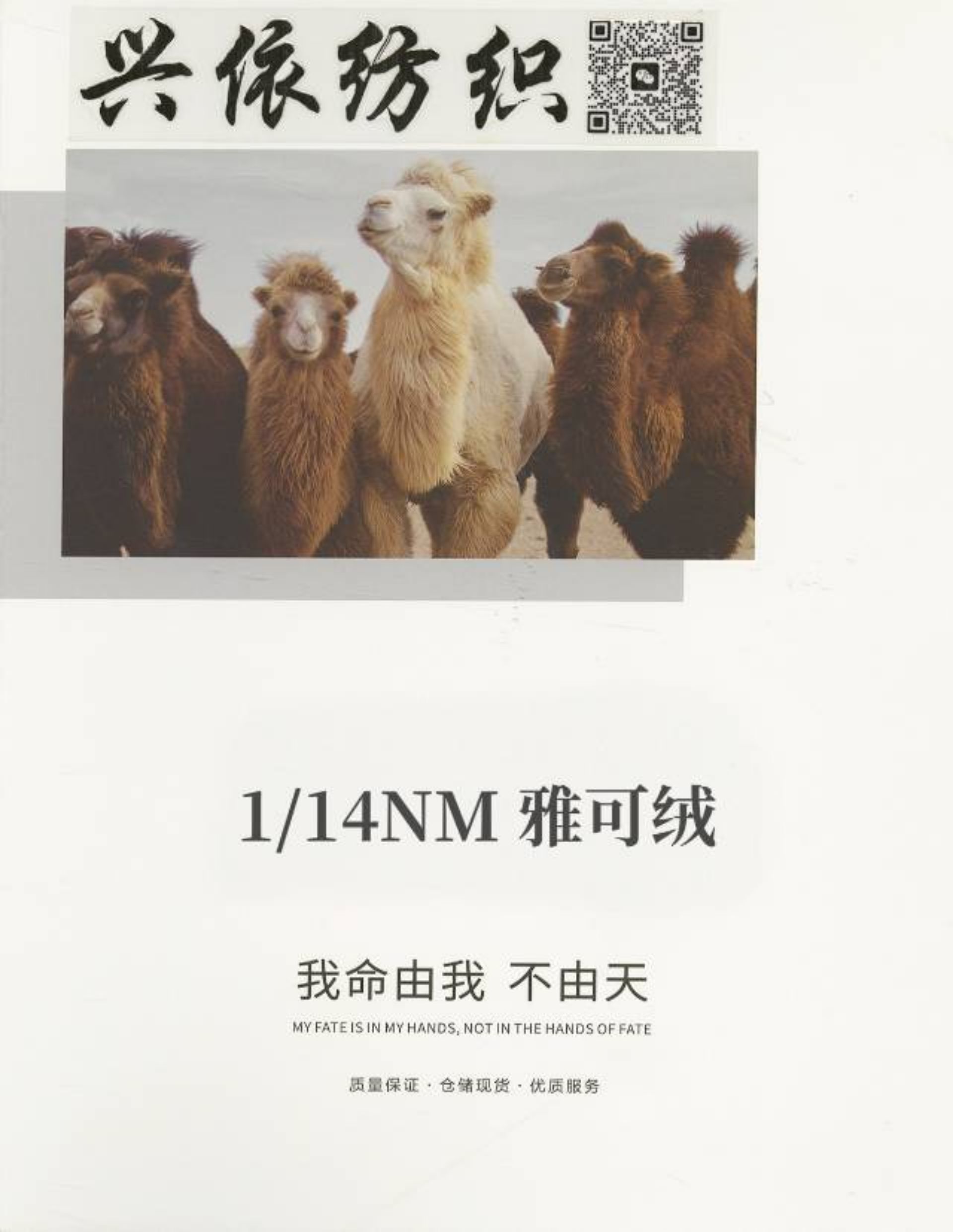 雅可絨