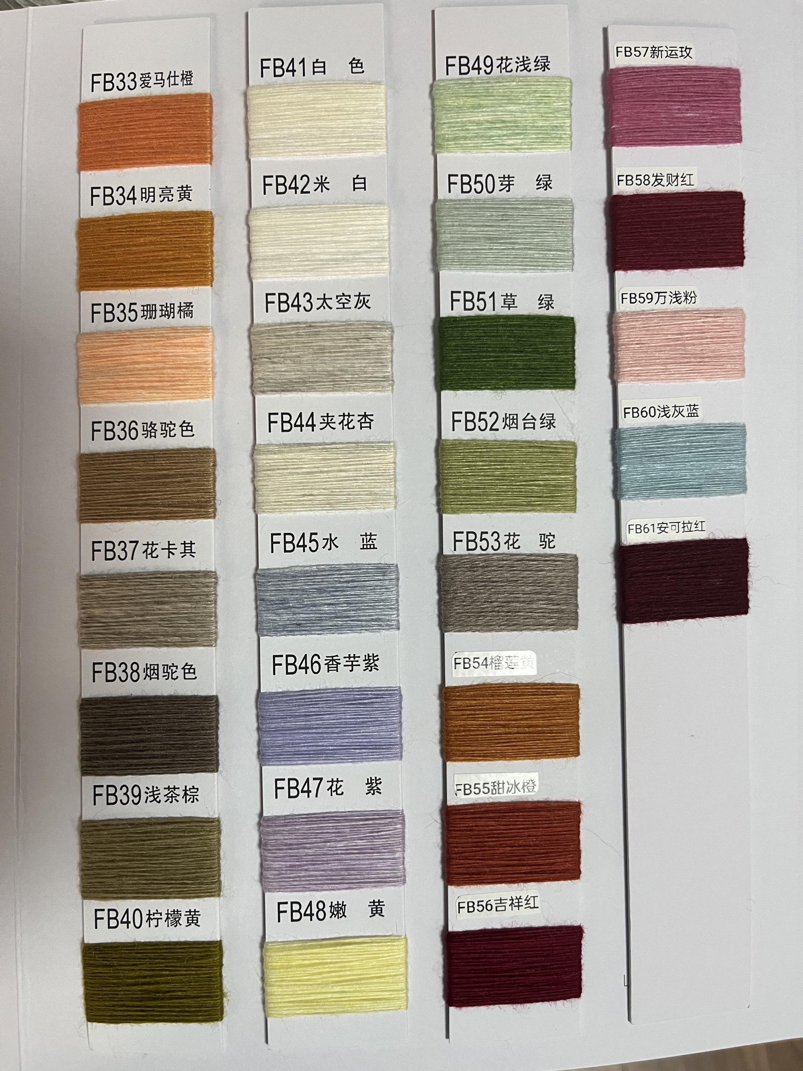 安第斯小浣熊