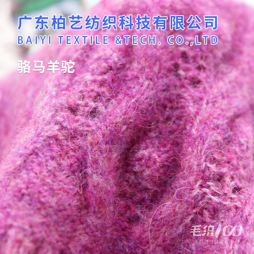 駱馬羊駝