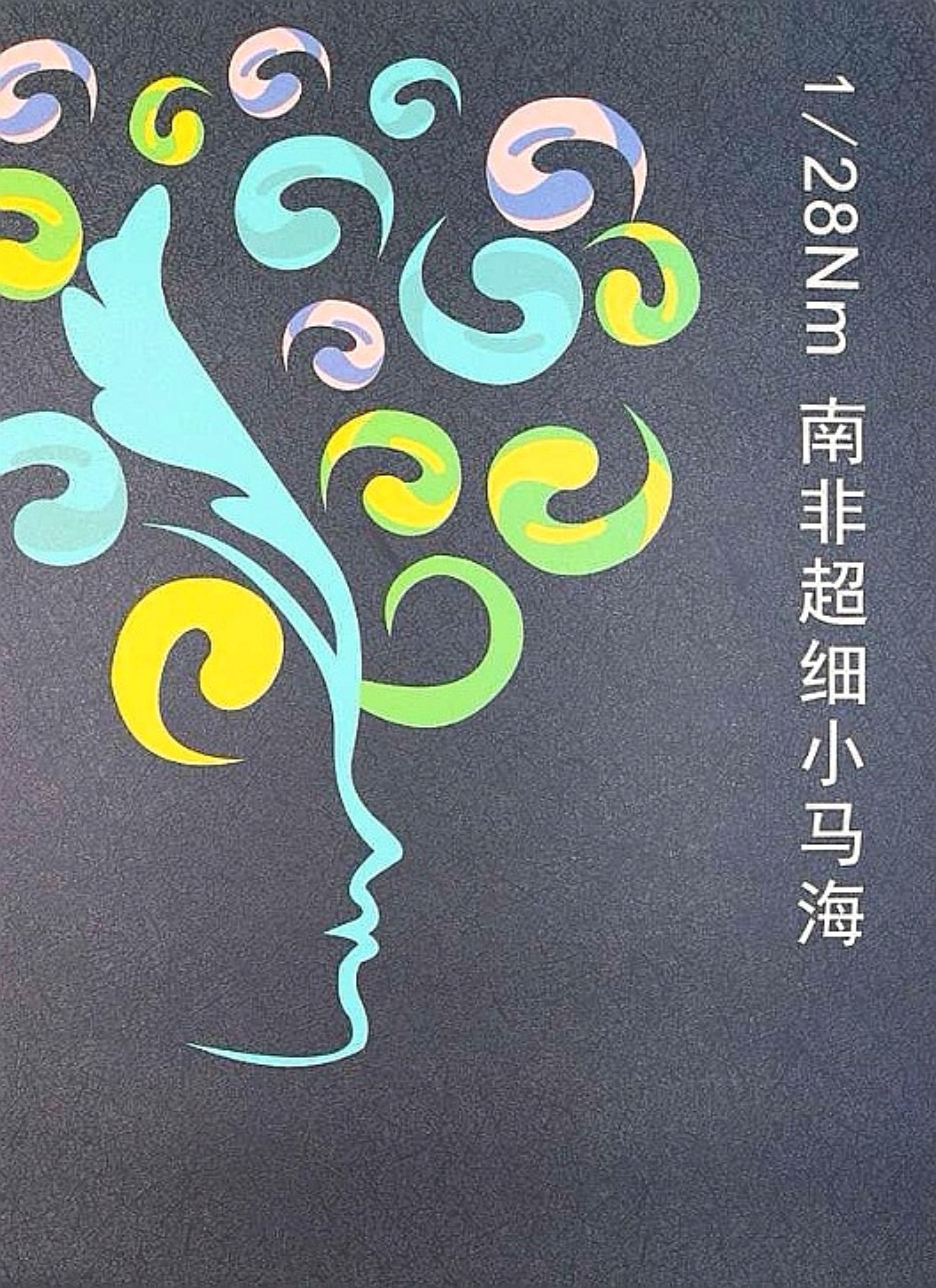 南非超細小馬海