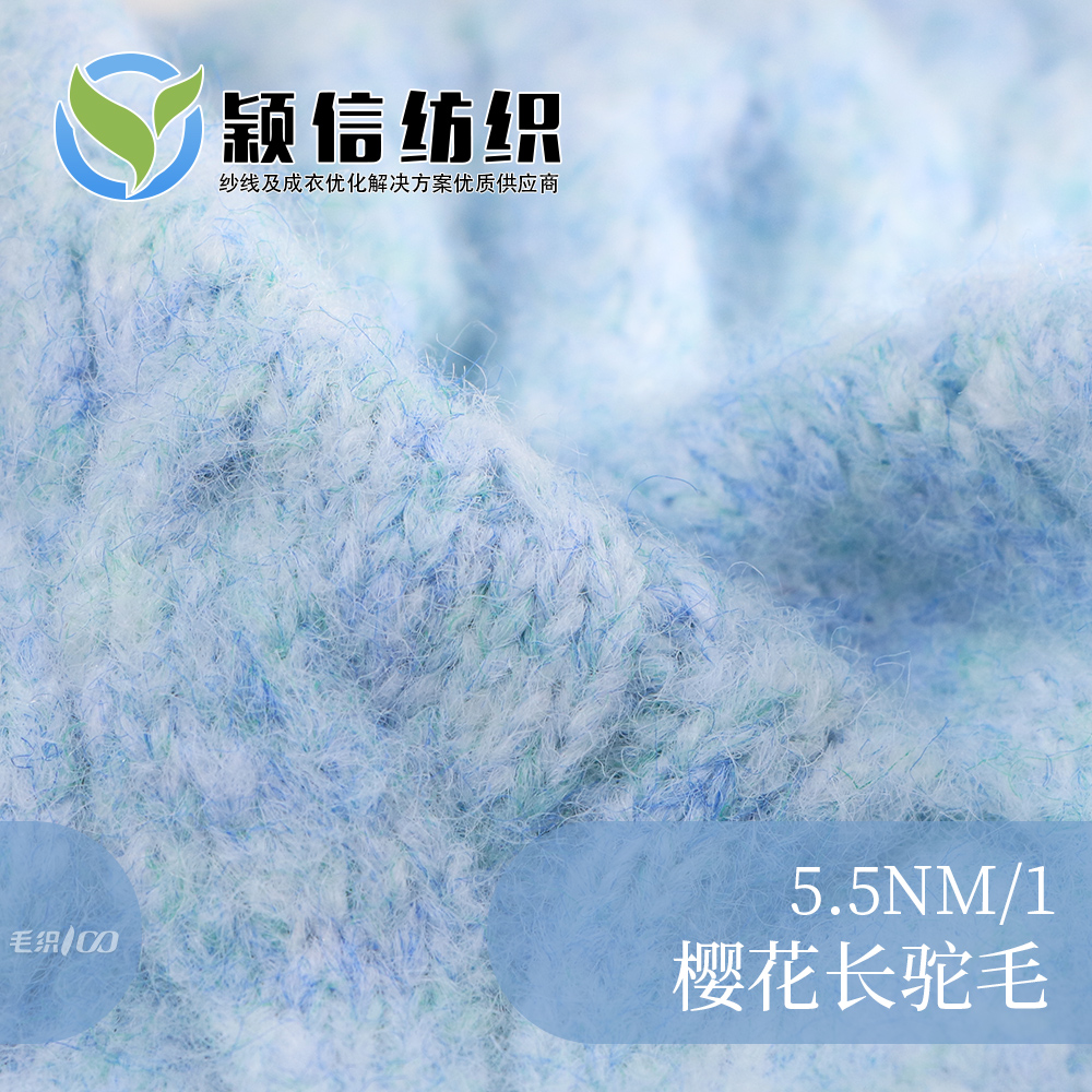 樱花长驼毛（再生）
