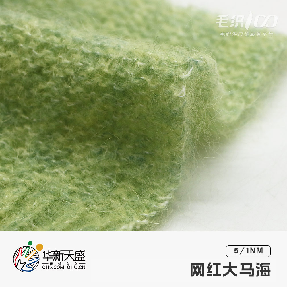網紅大馬海