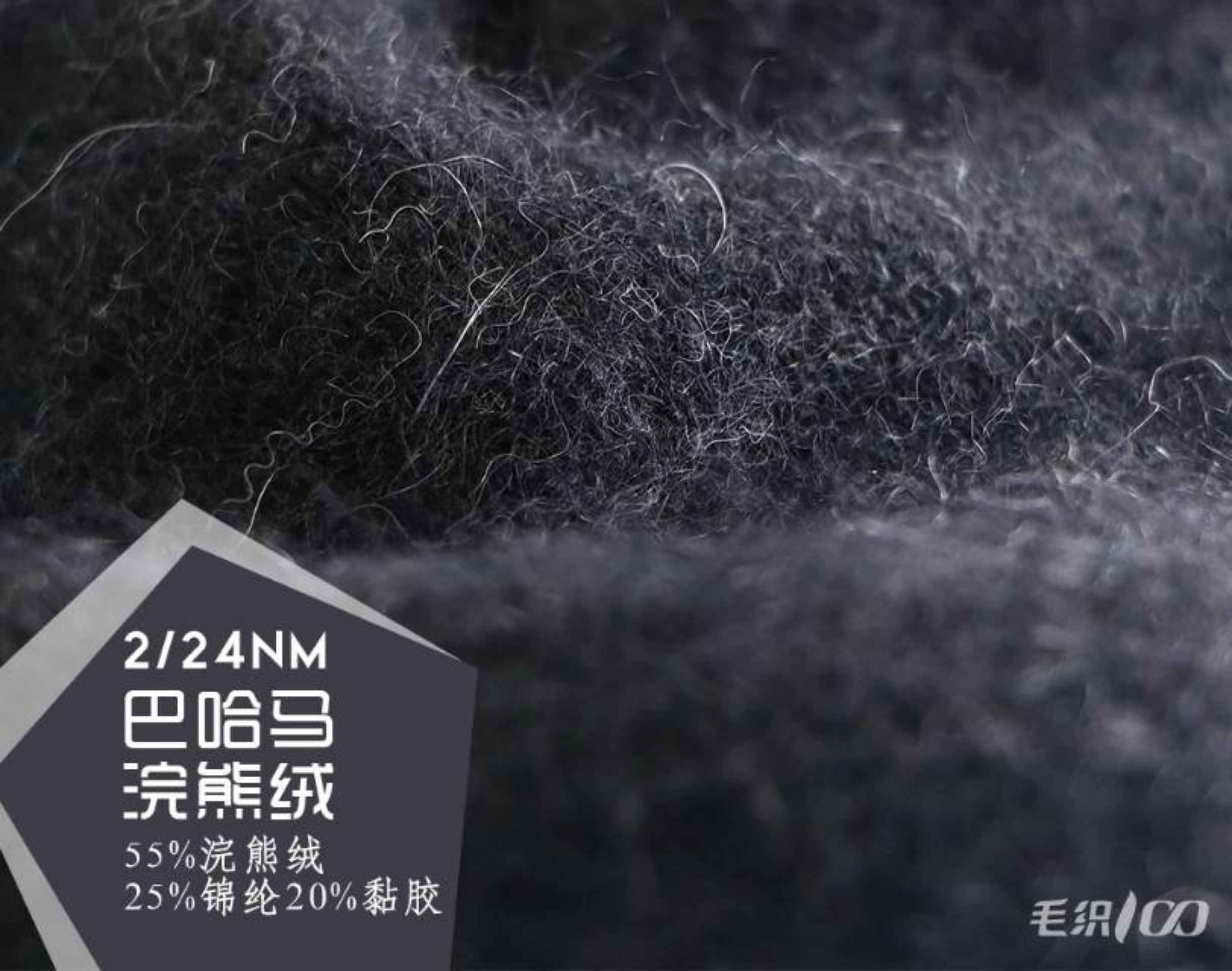 2/24NM巴哈马浣熊绒