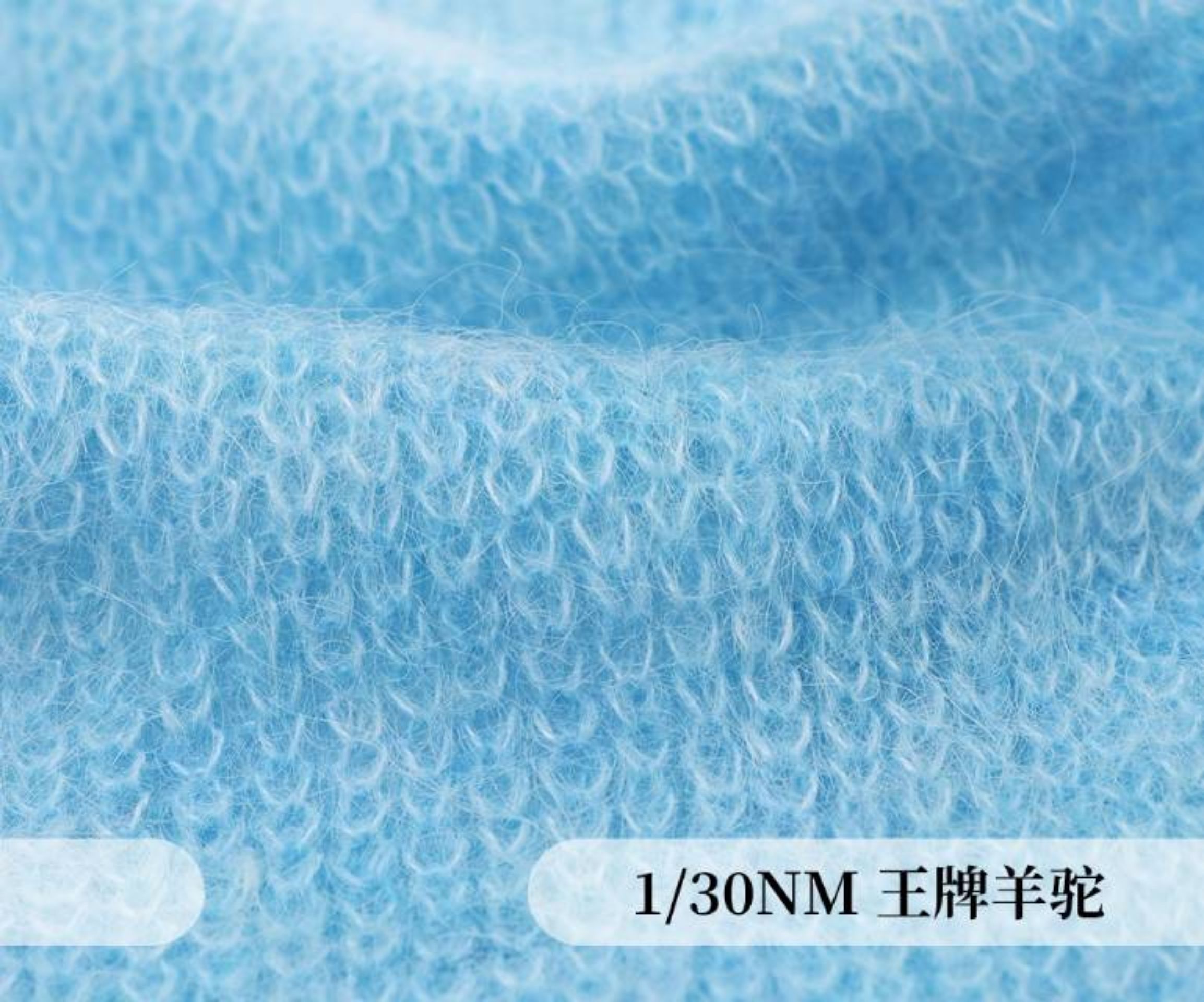 王牌羊驼