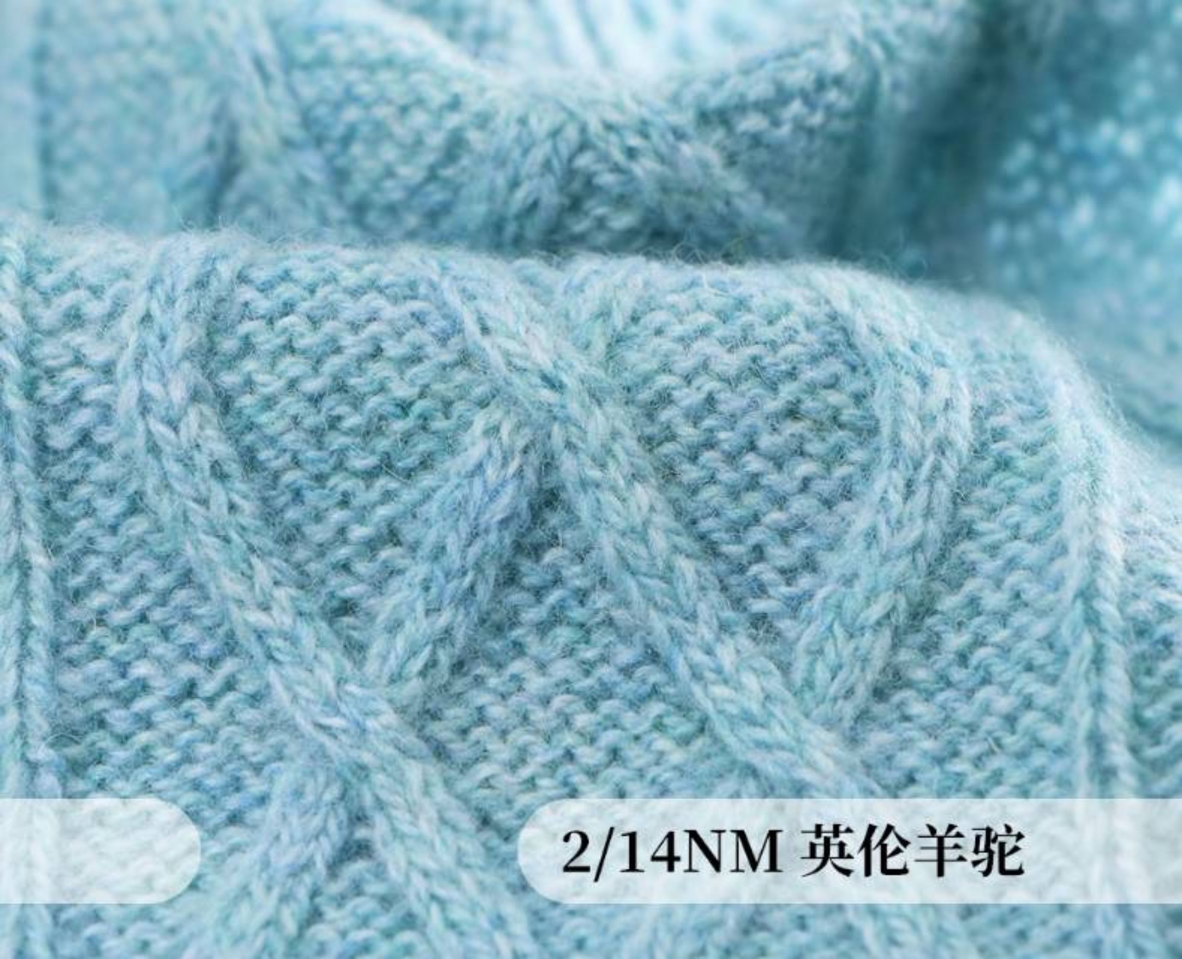 英伦羊驼