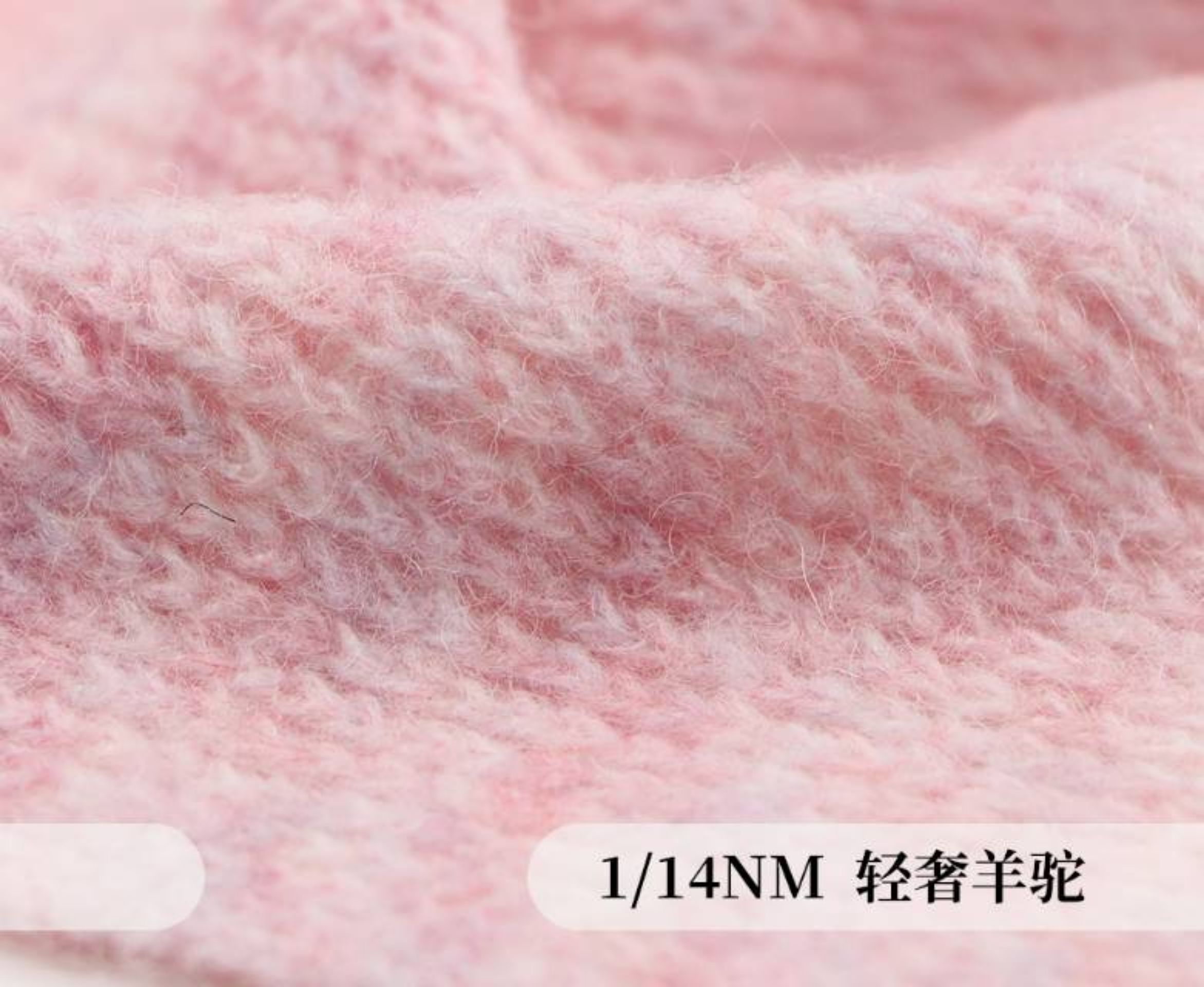 轻奢羊驼