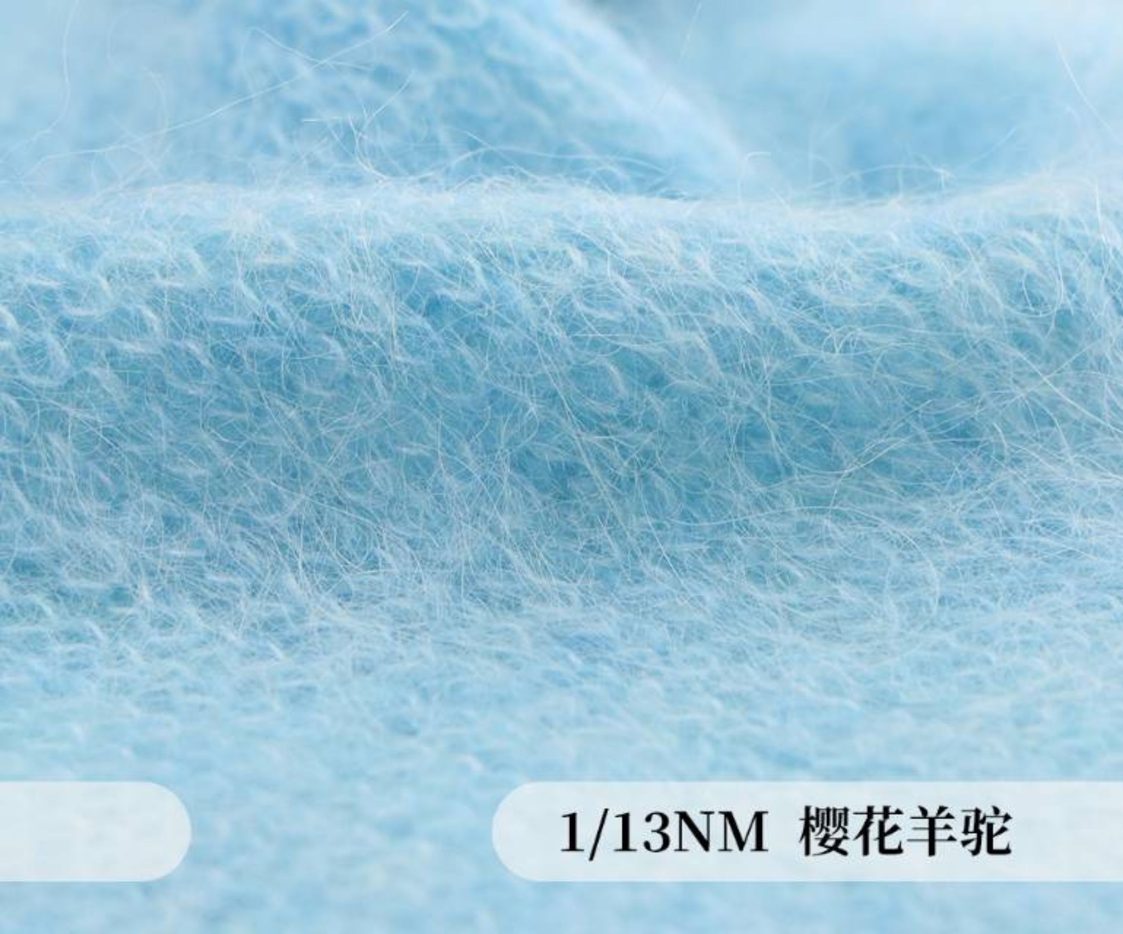 樱花羊驼