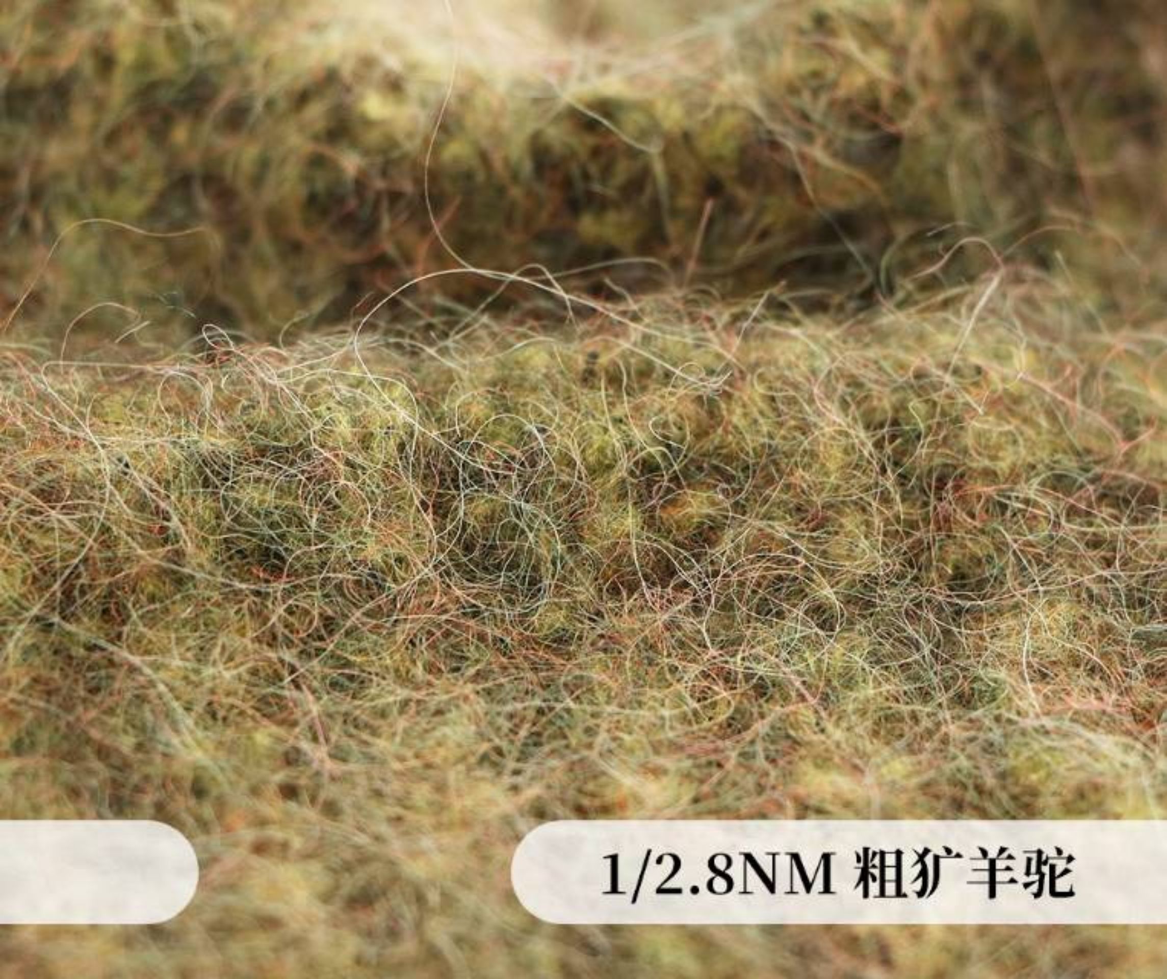 粗矿羊驼