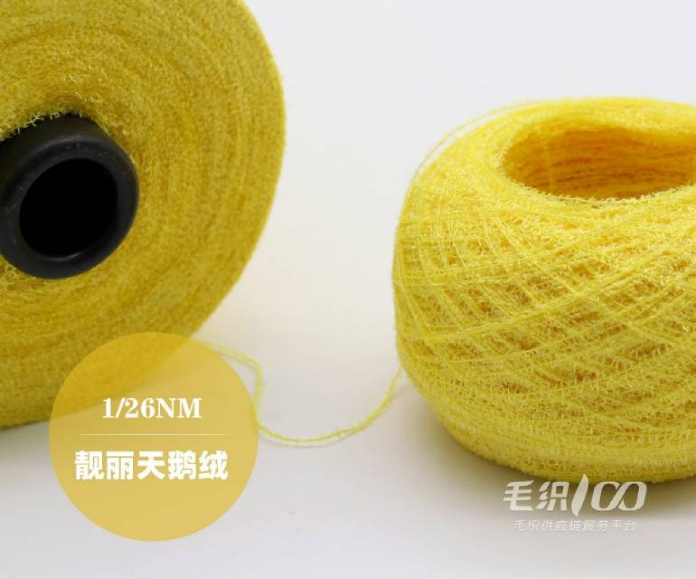 靓丽天鹅绒