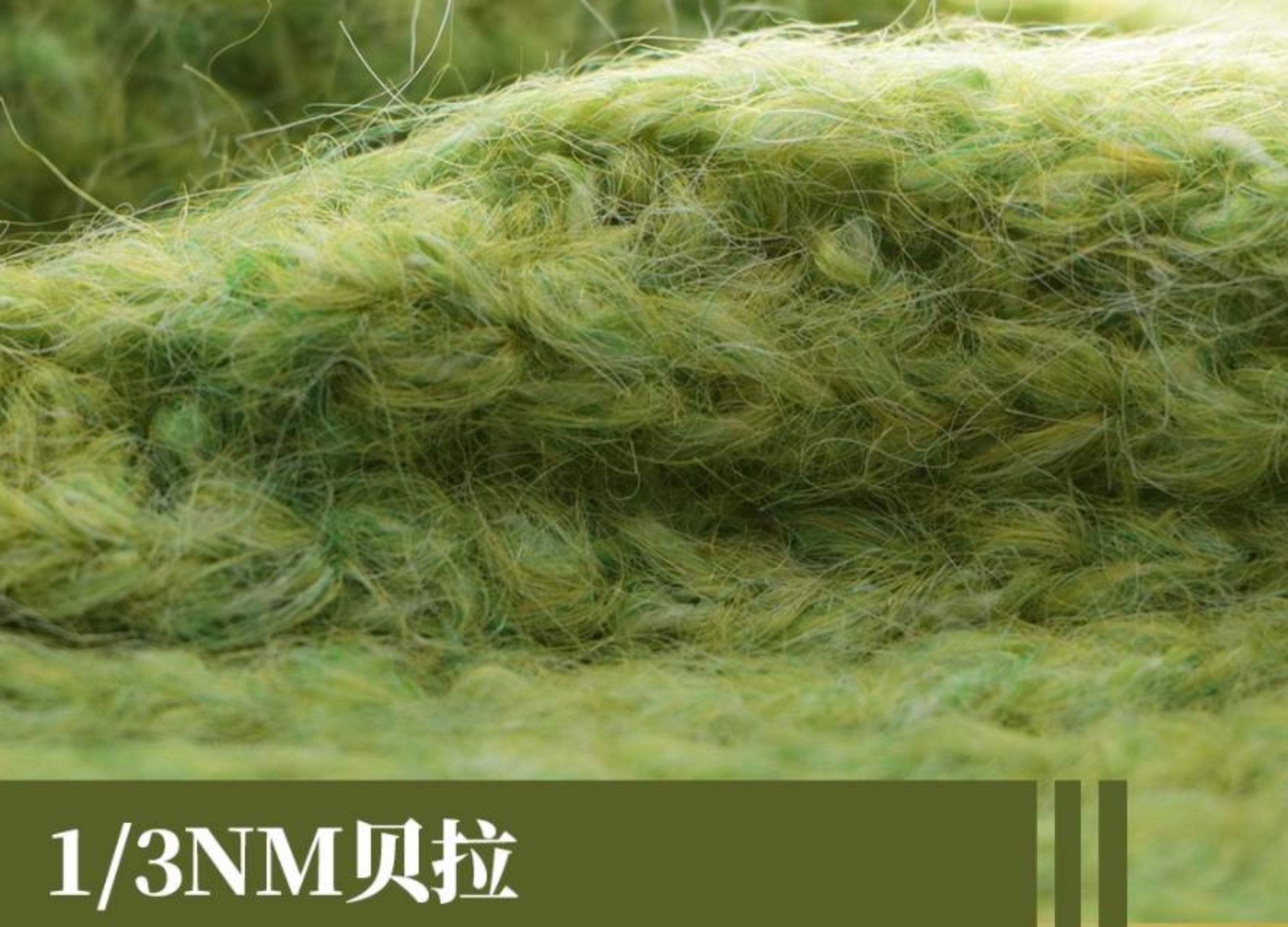 3支贝拉