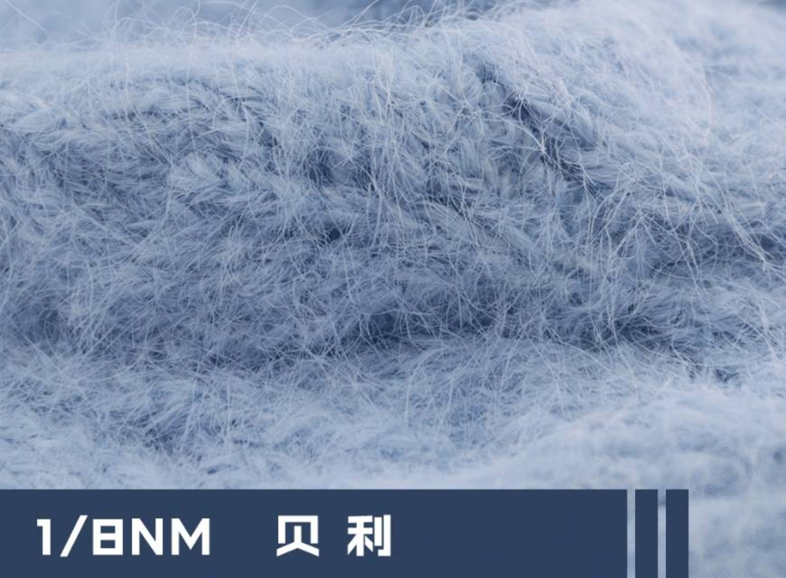 8支贝利