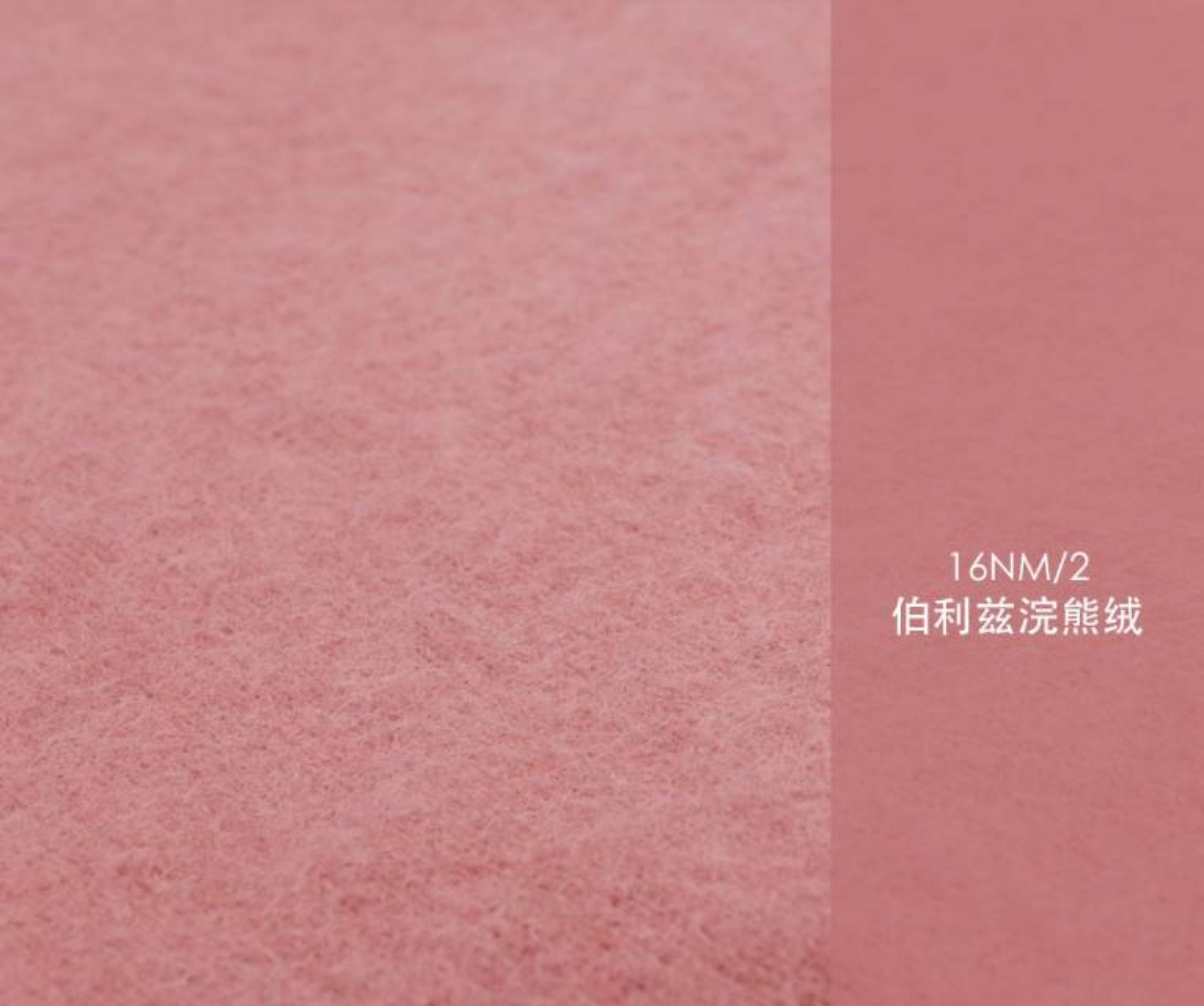 伯利兹浣熊绒