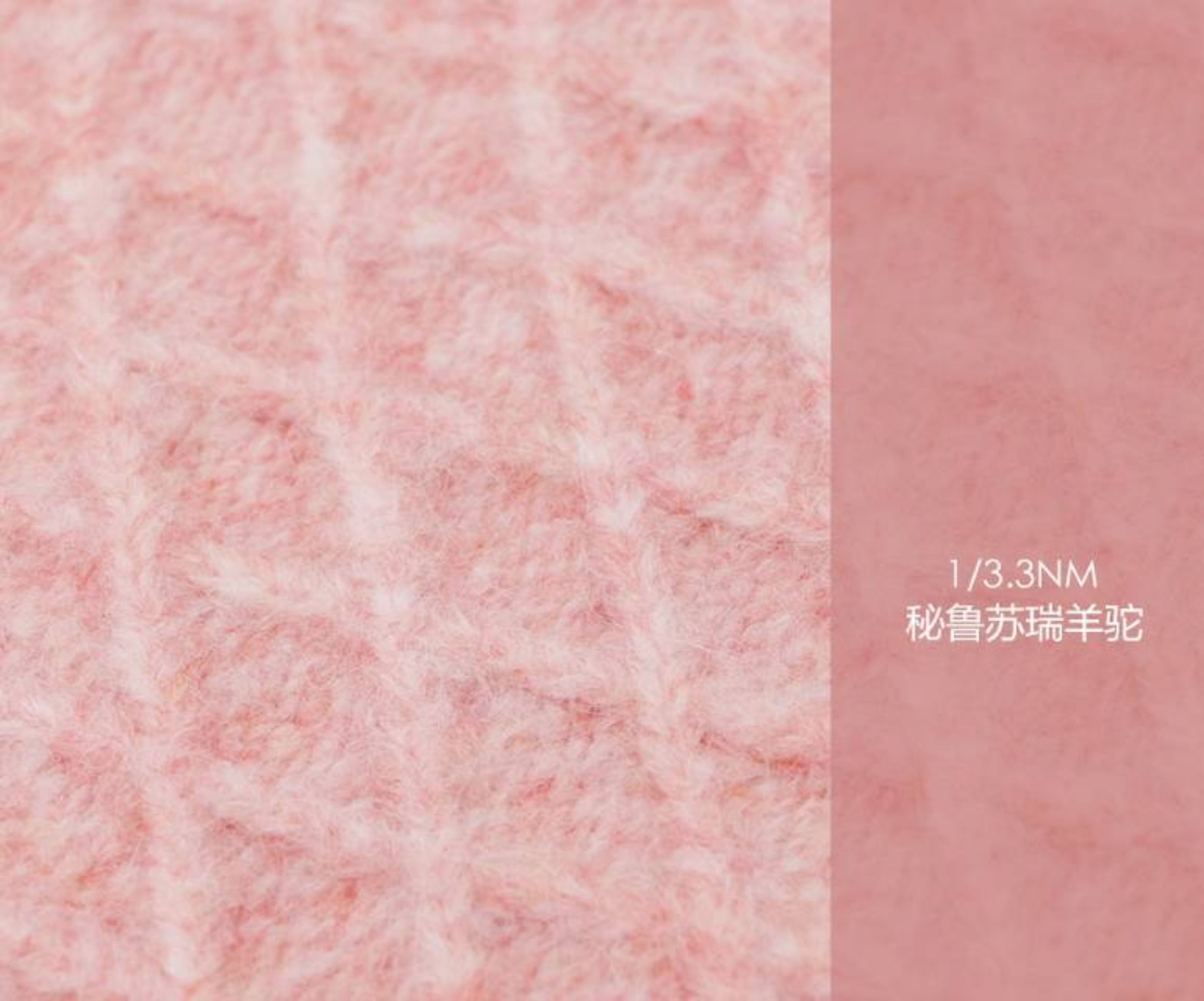秘鲁苏瑞羊驼