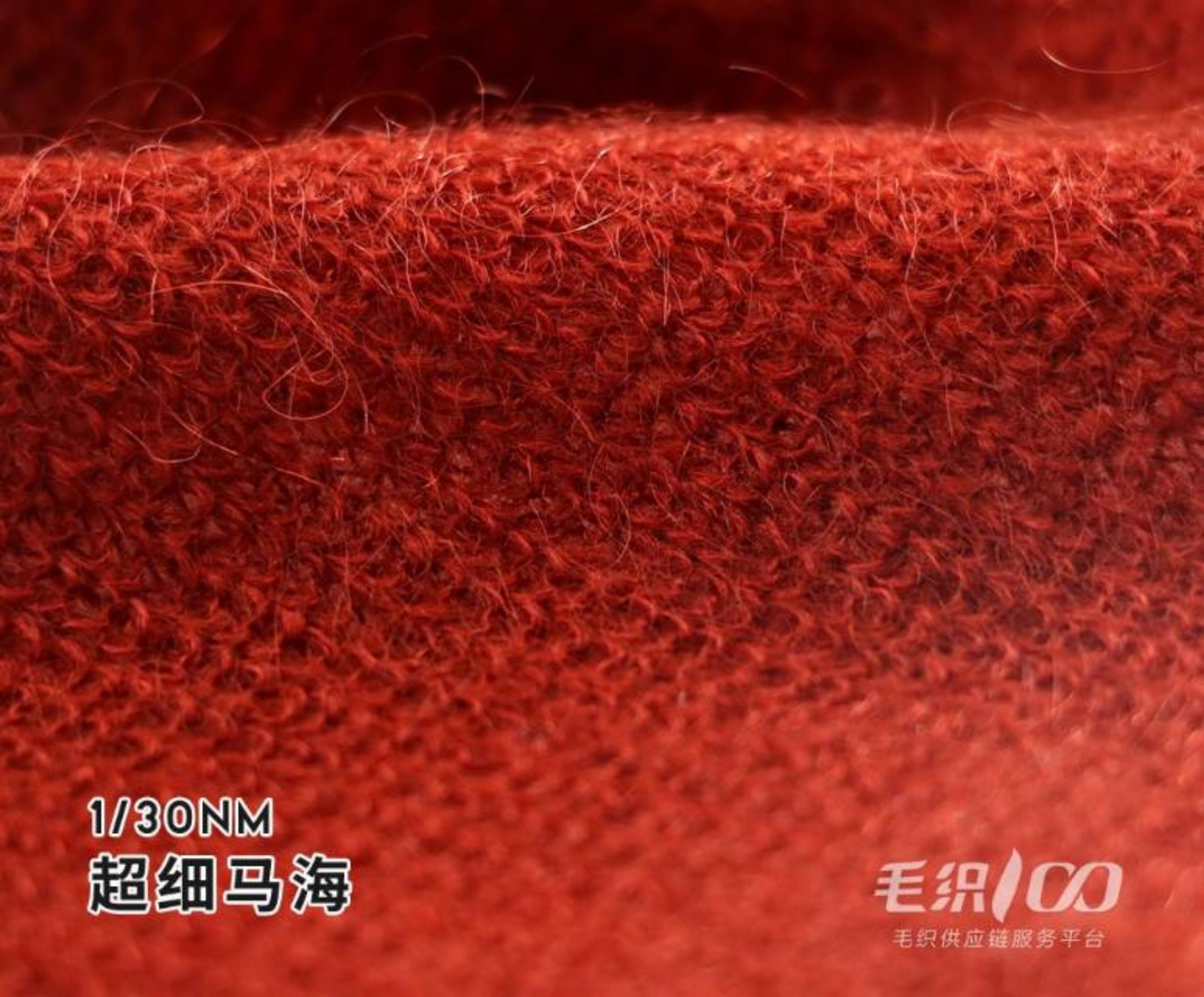 超细马海