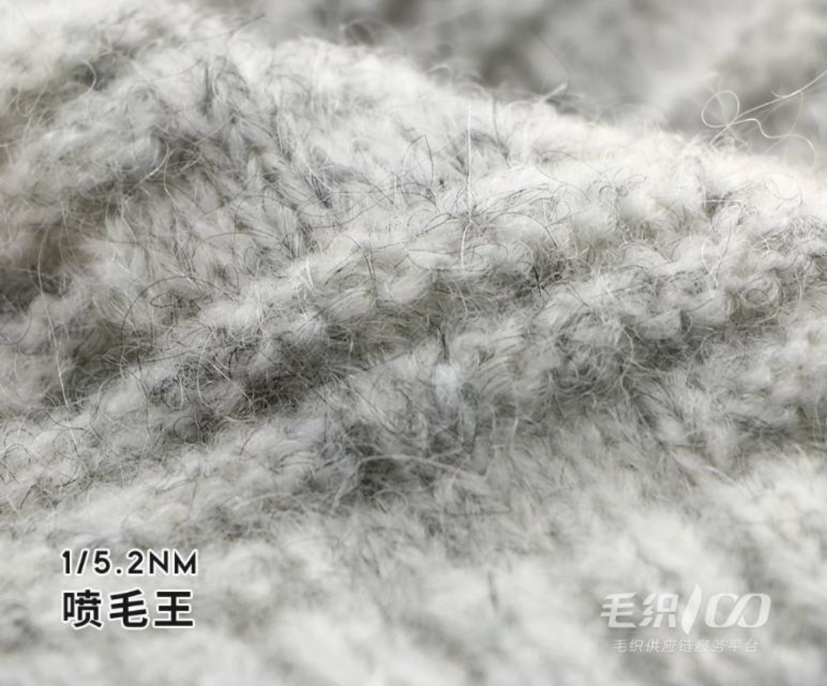 喷毛王