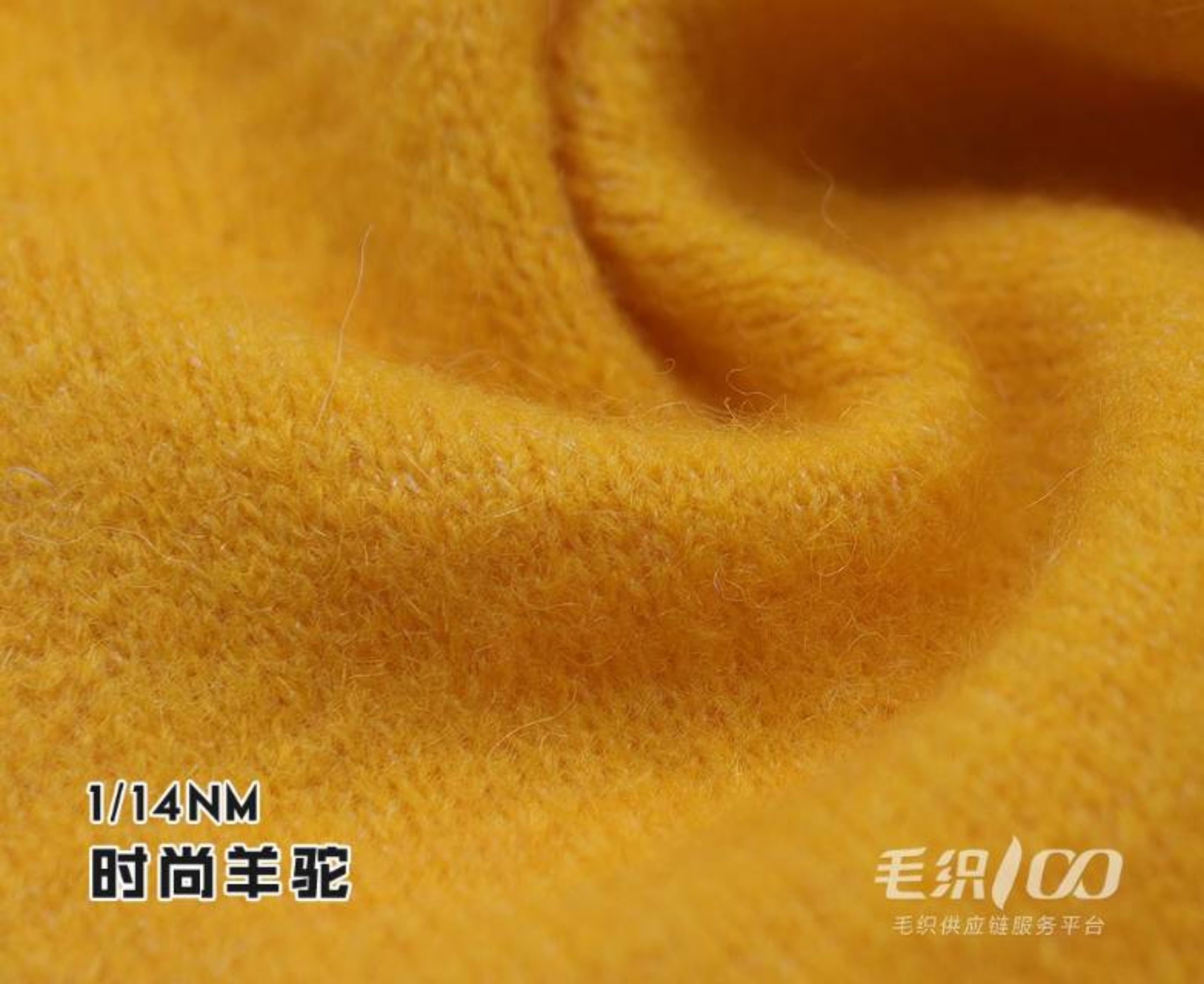 时尚羊驼