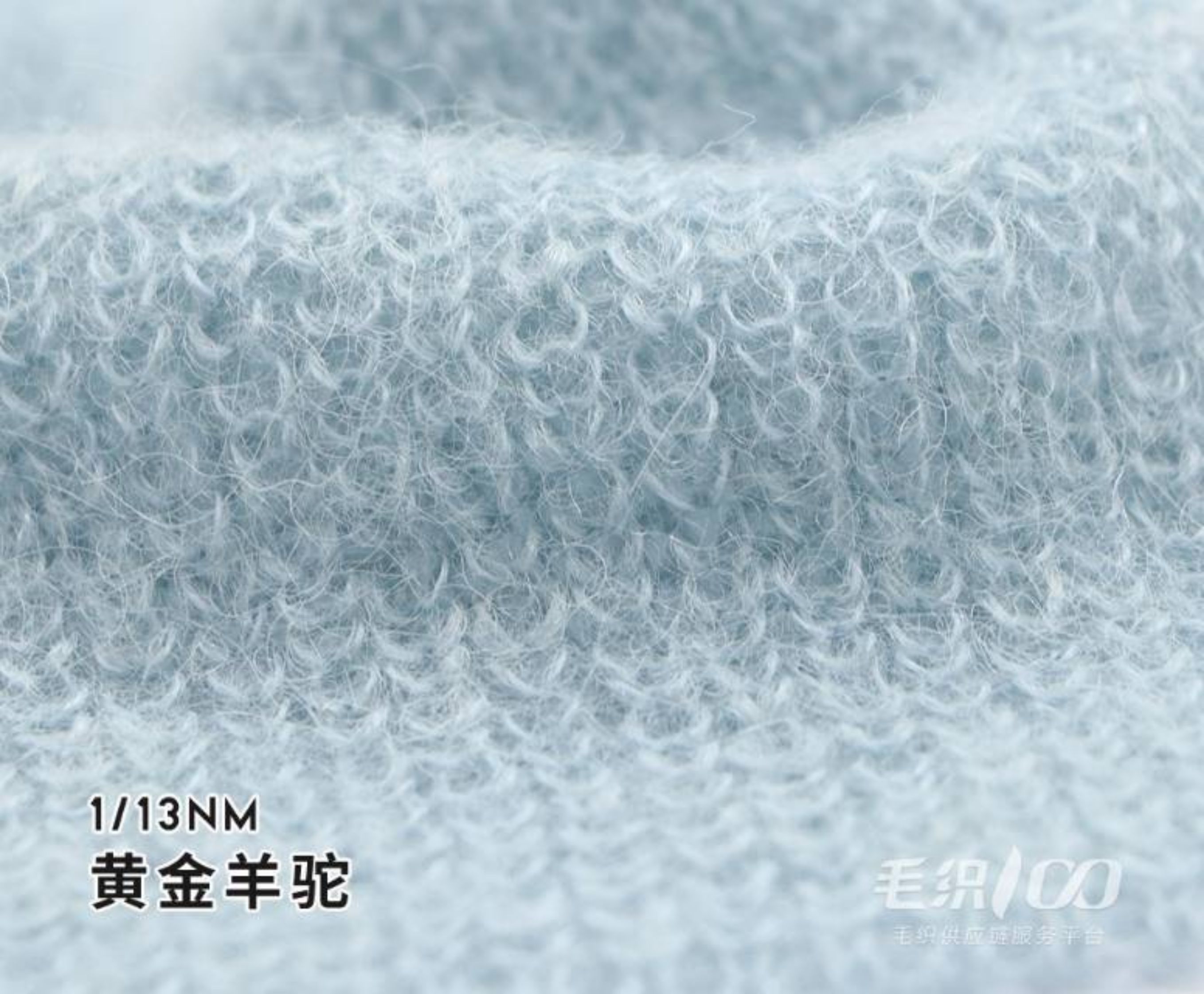 黄金羊驼