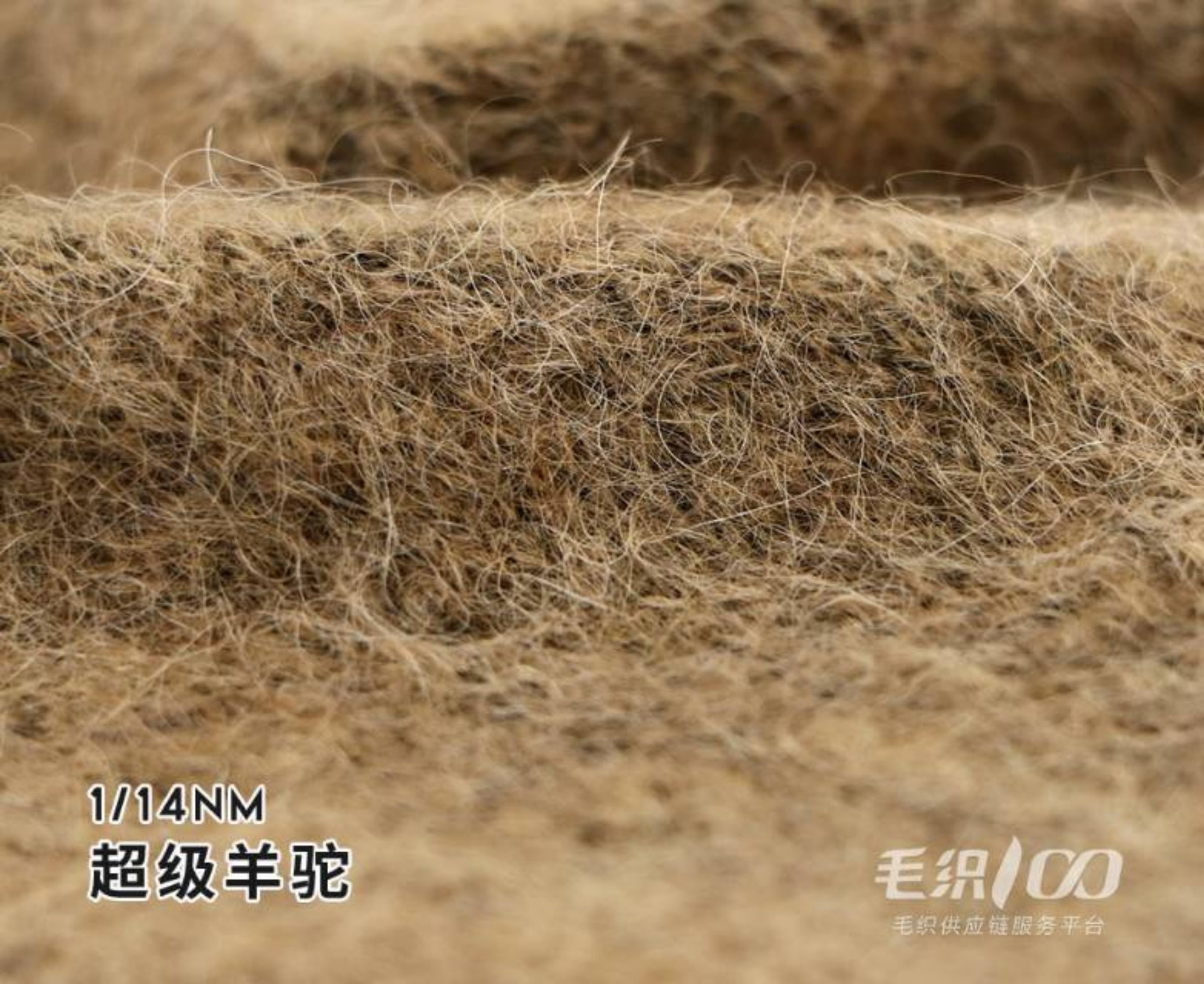 超级羊驼