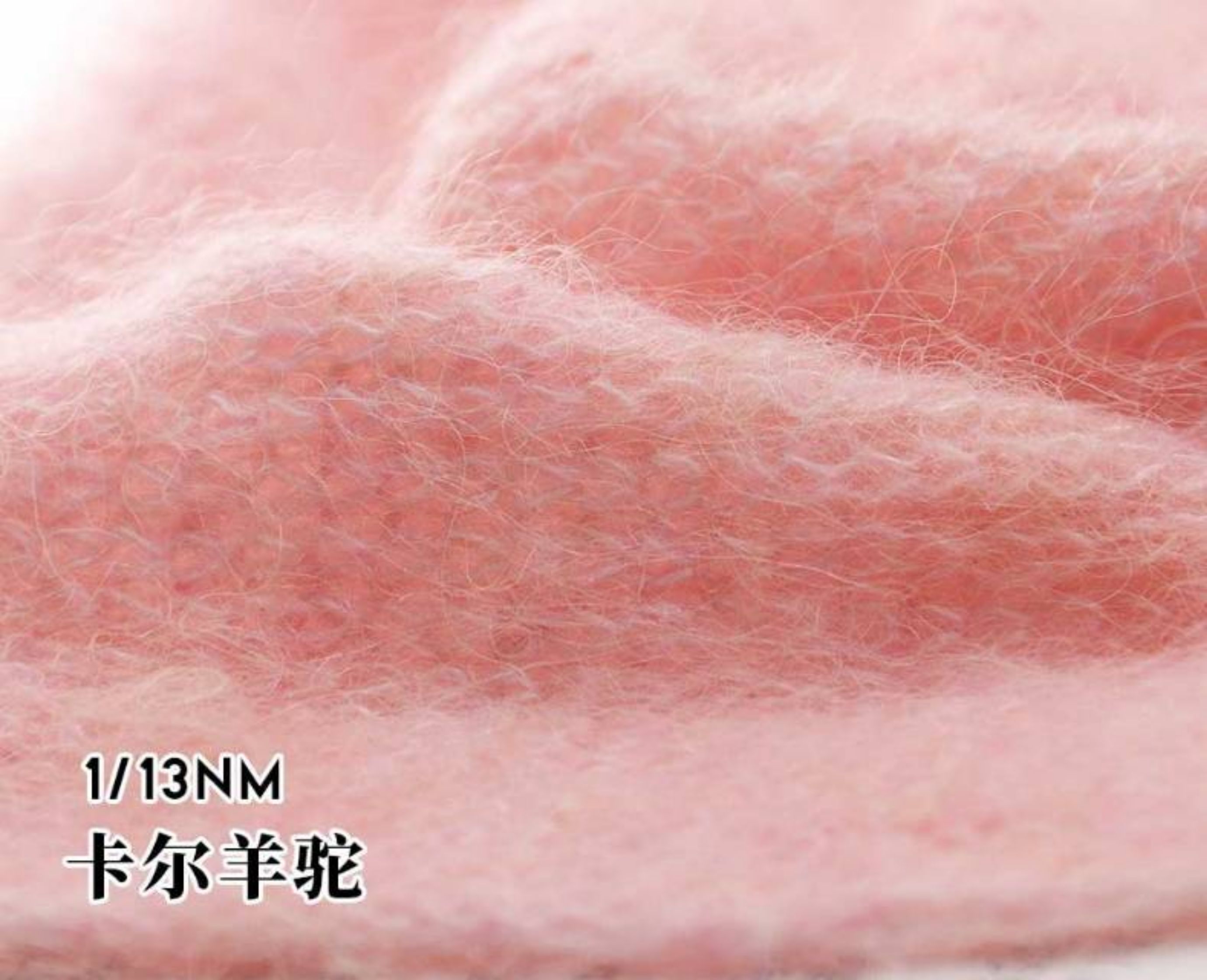 卡尔羊驼