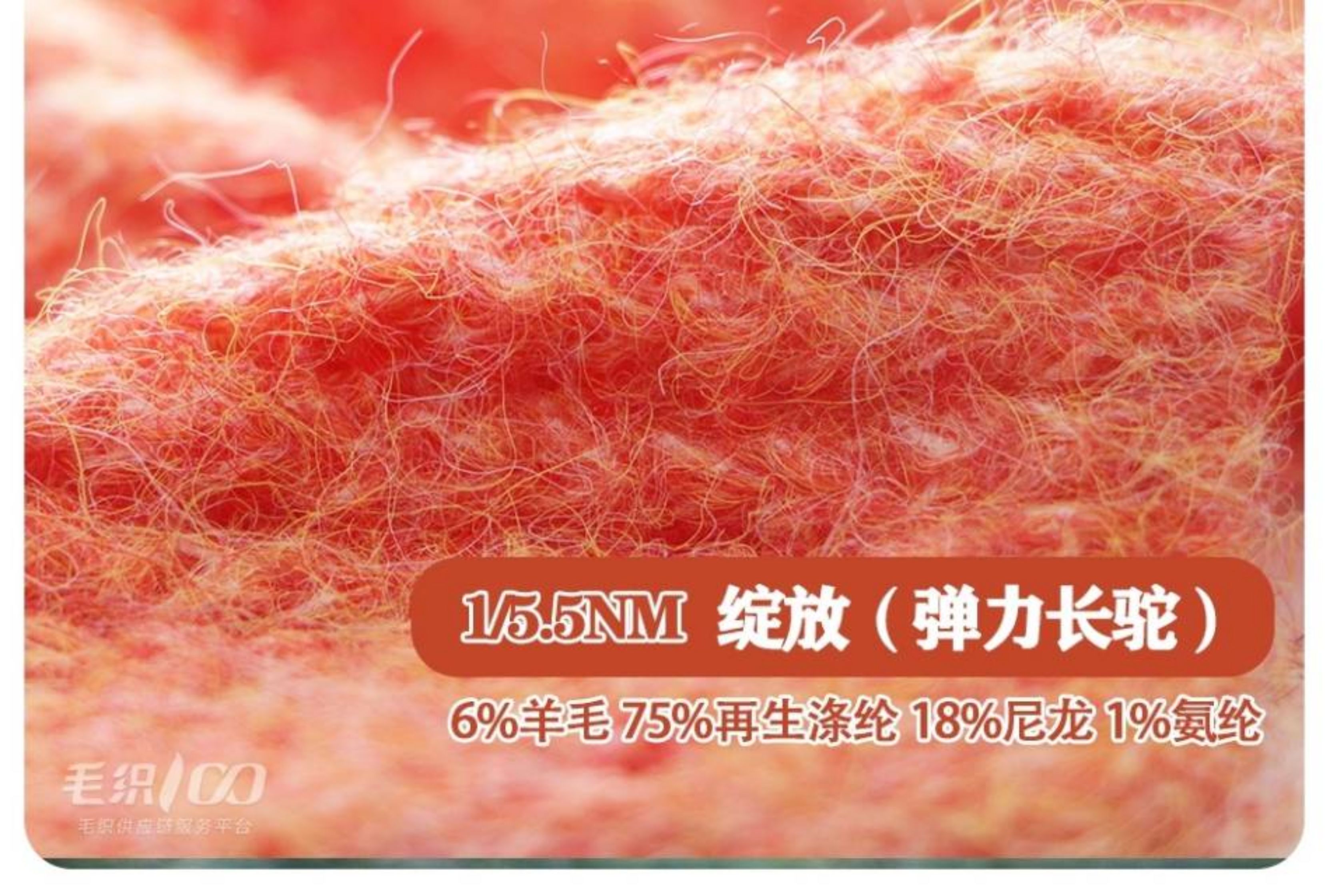 绽放（弹力长驼）