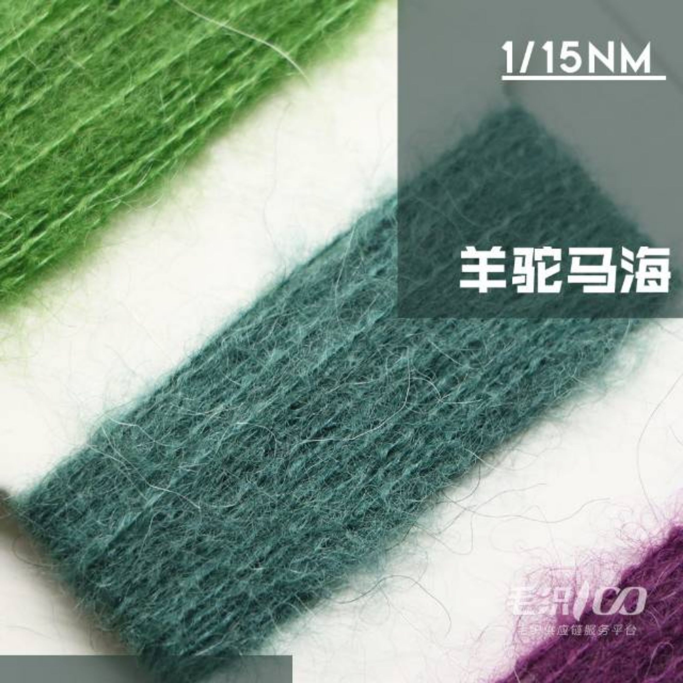 羊驼马海