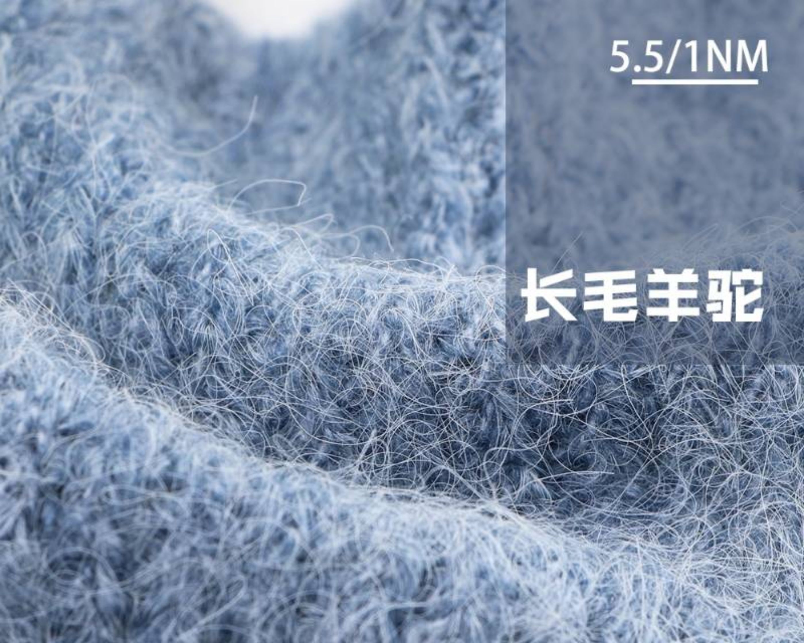 长毛羊驼