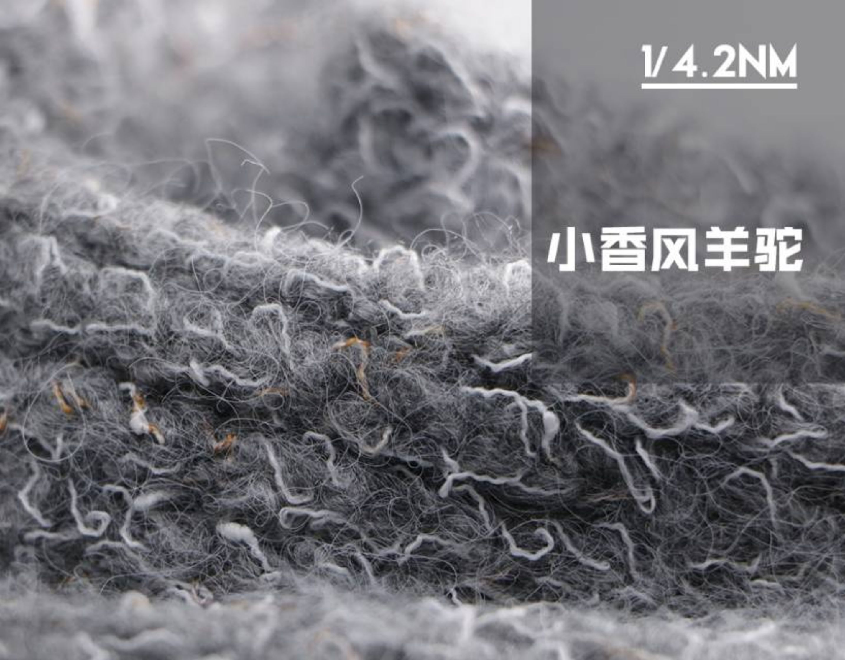 小香风羊驼