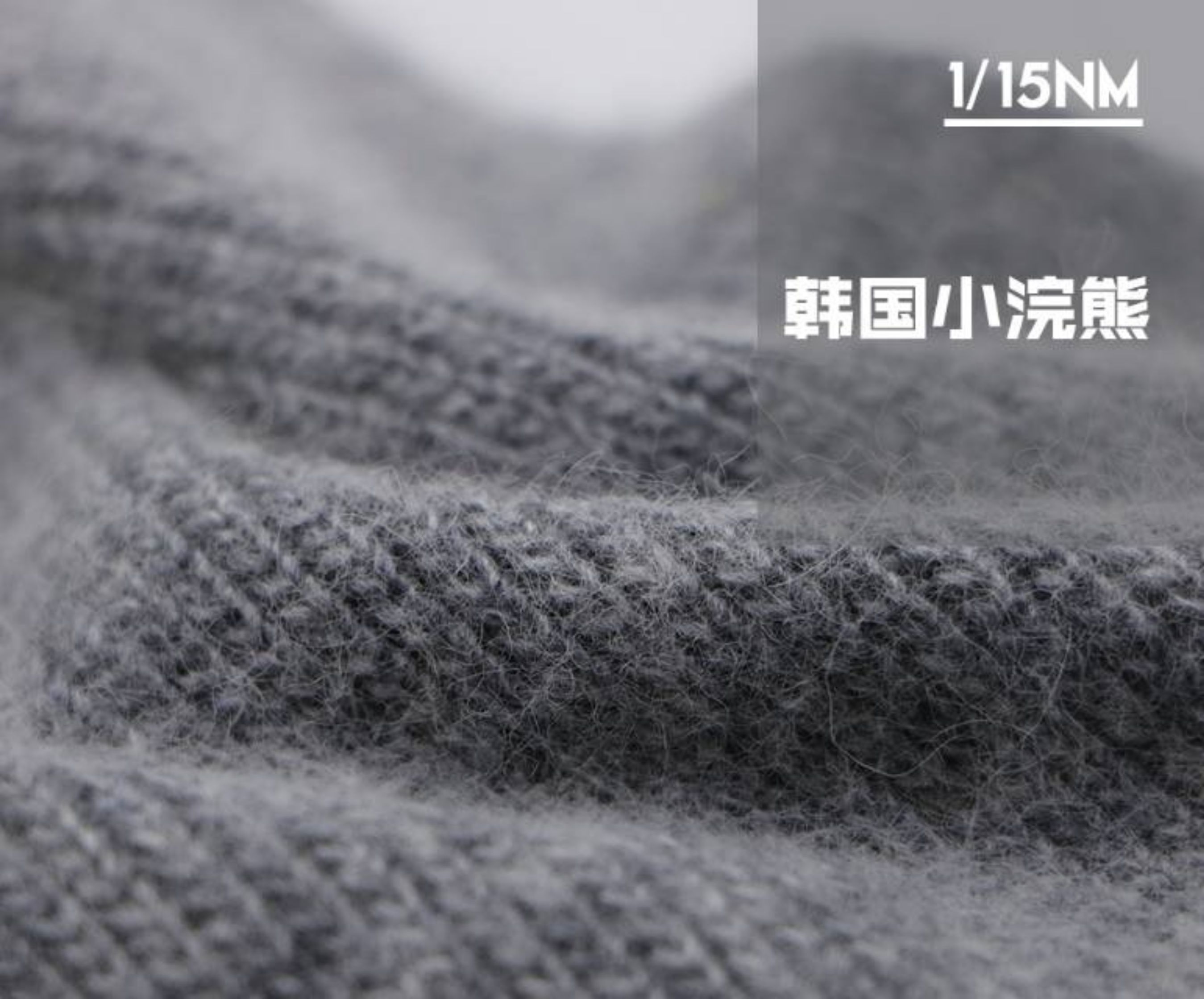韩国小浣熊