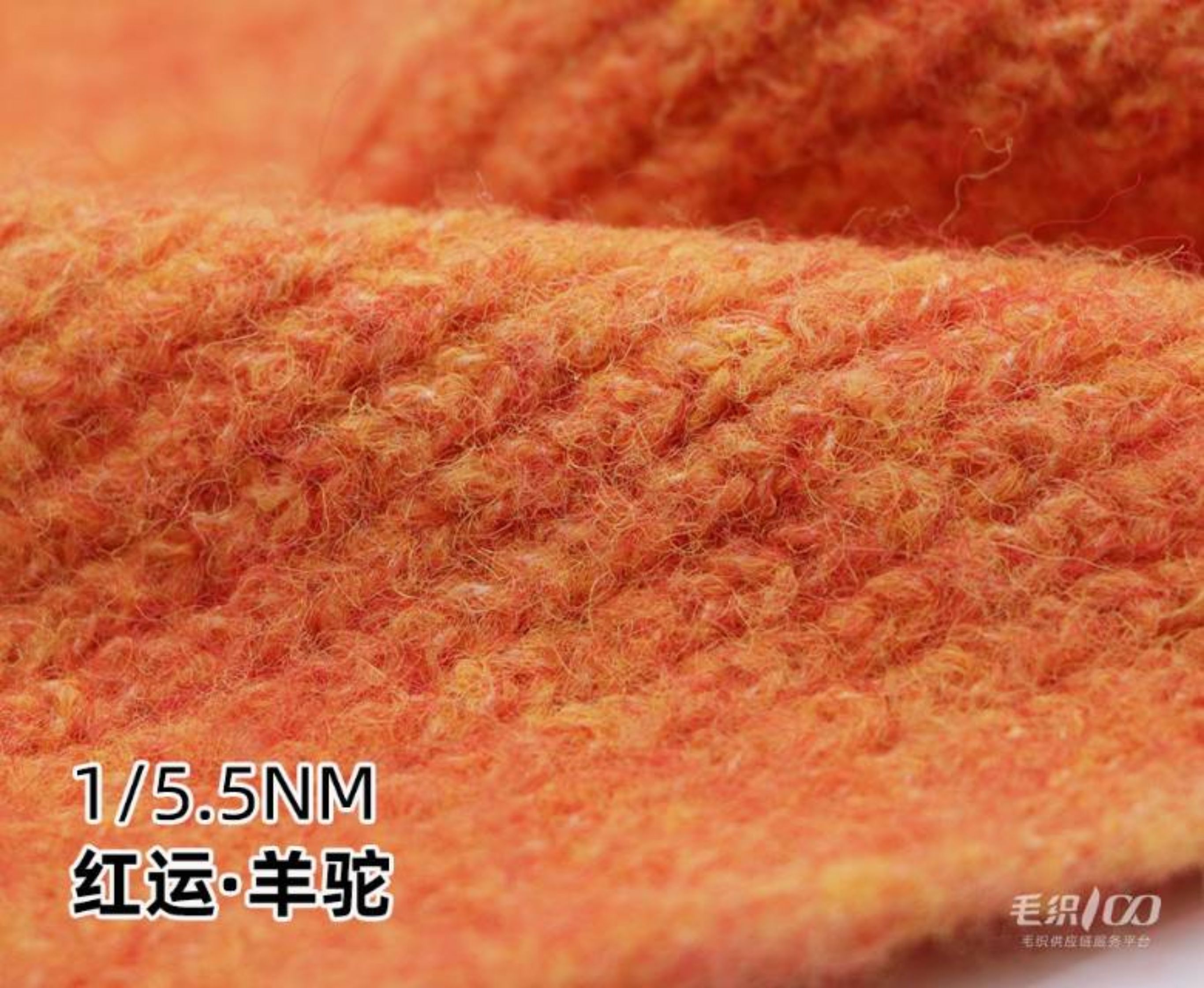 红运·羊驼