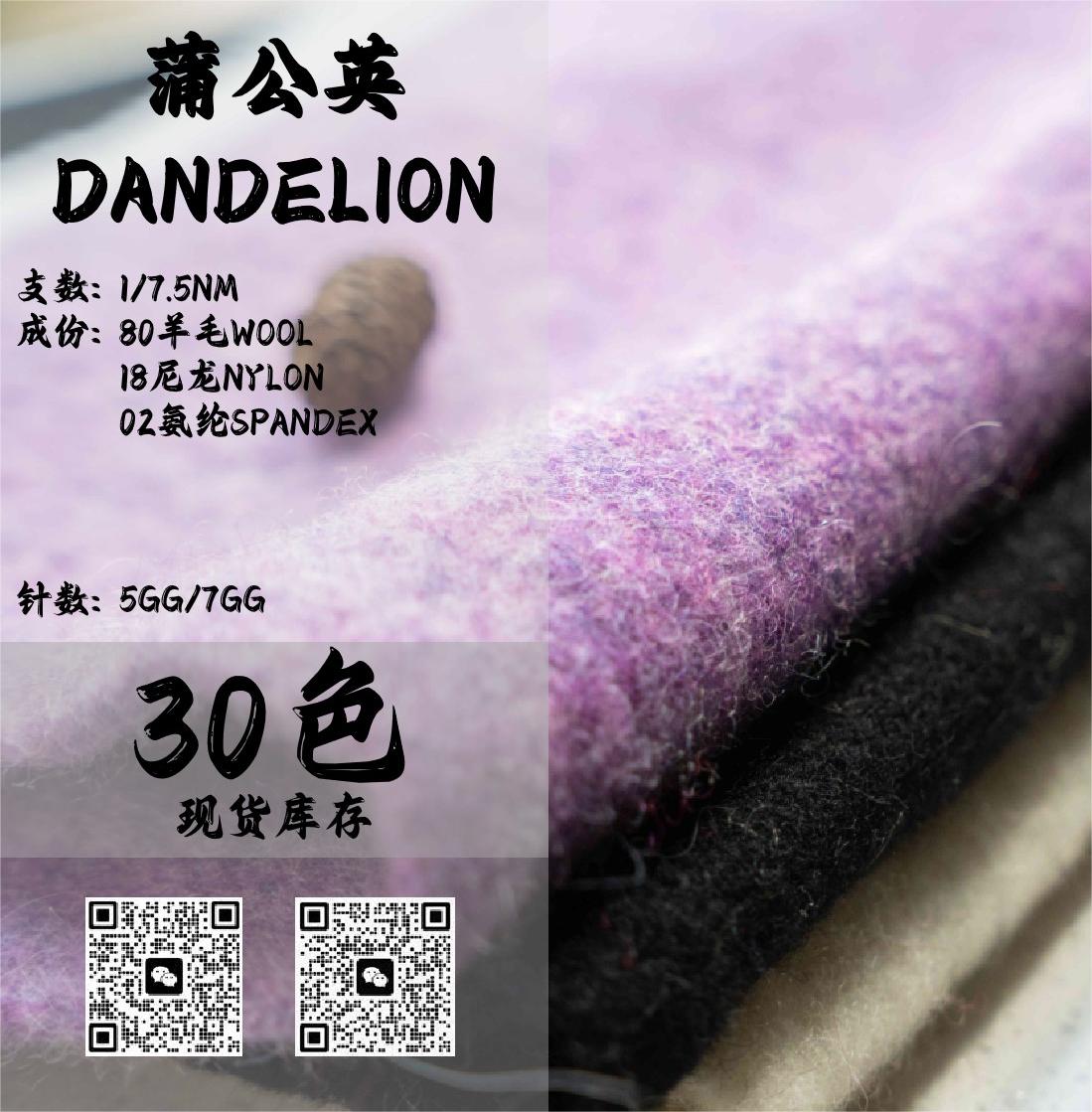 蒲公英-DANDELION
