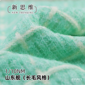 山东舰（长毛风格）
