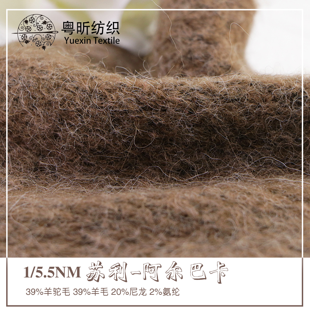 蘇利-阿爾巴卡
