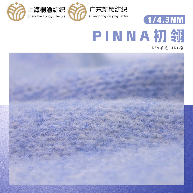 PINNA初翎