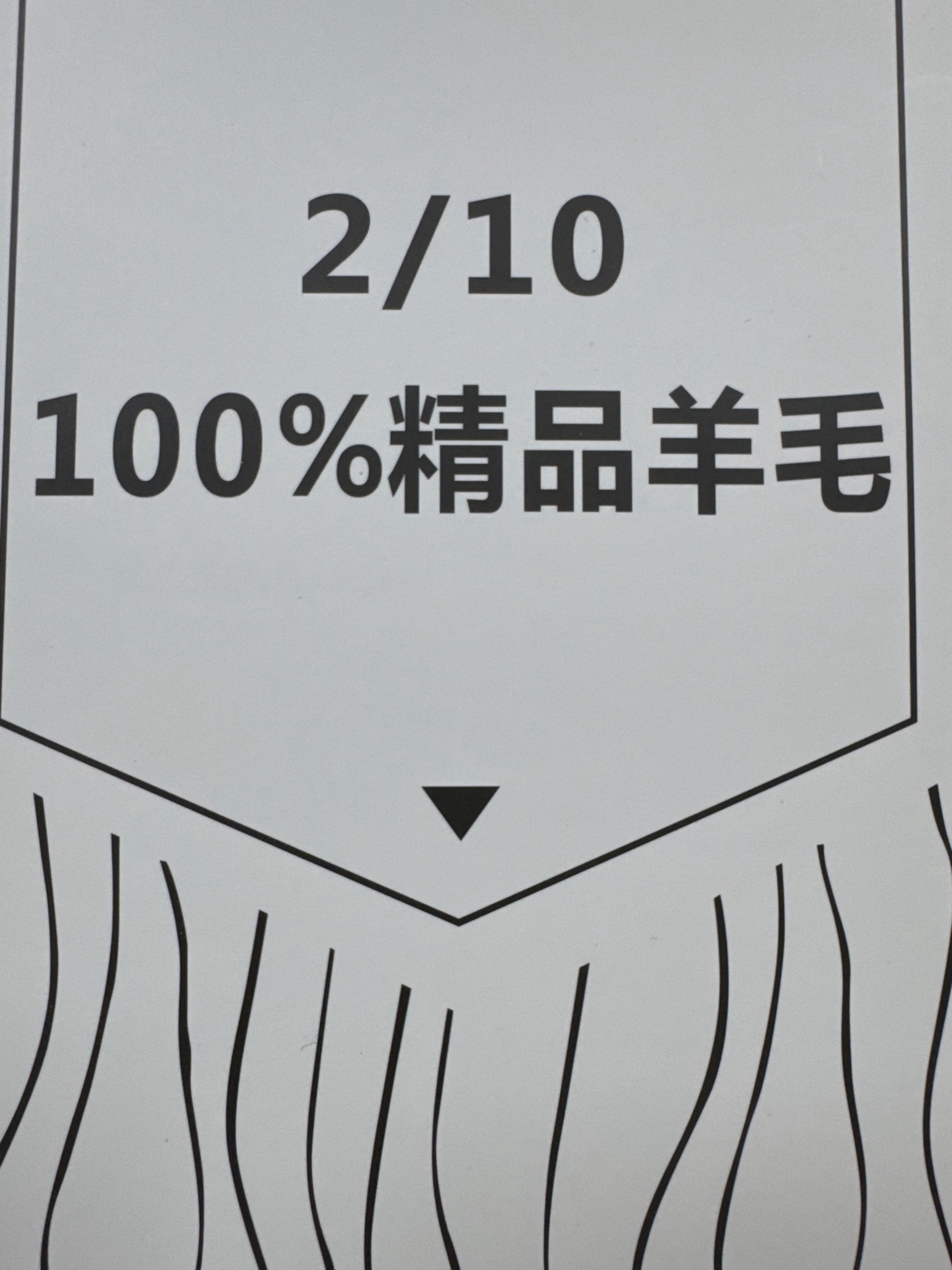 2/10NM100全羊毛