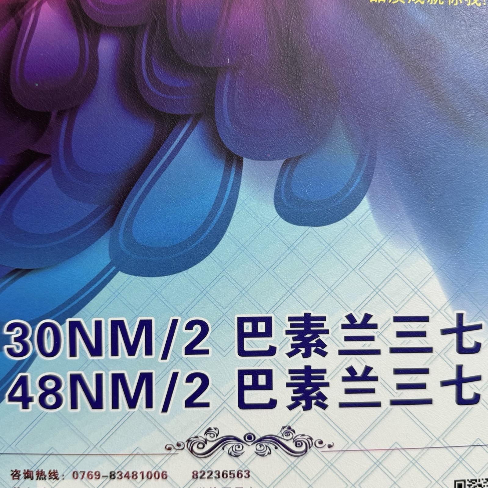2/30NM、2/48NM巴素蘭羊毛
