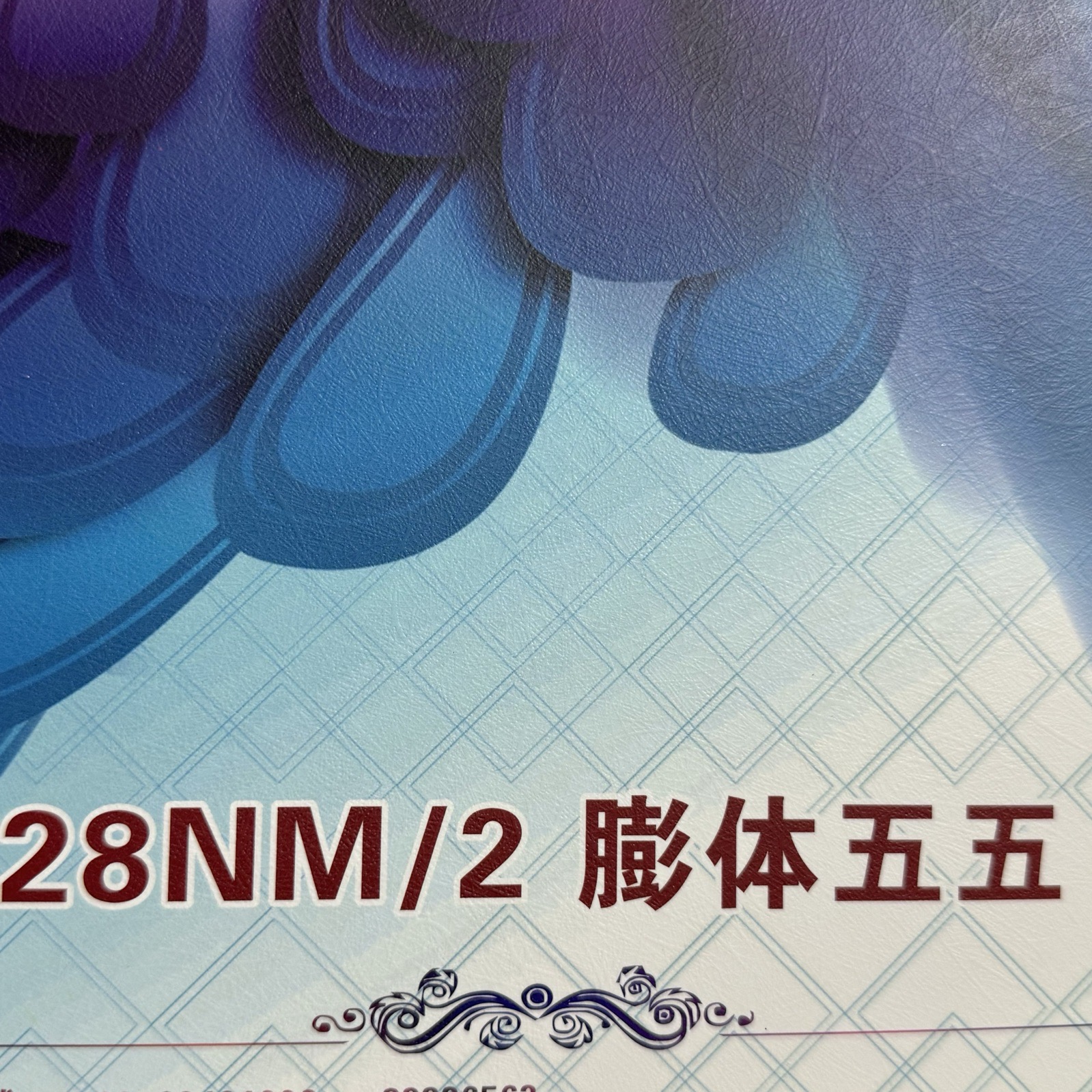 2/28NM膨體五五