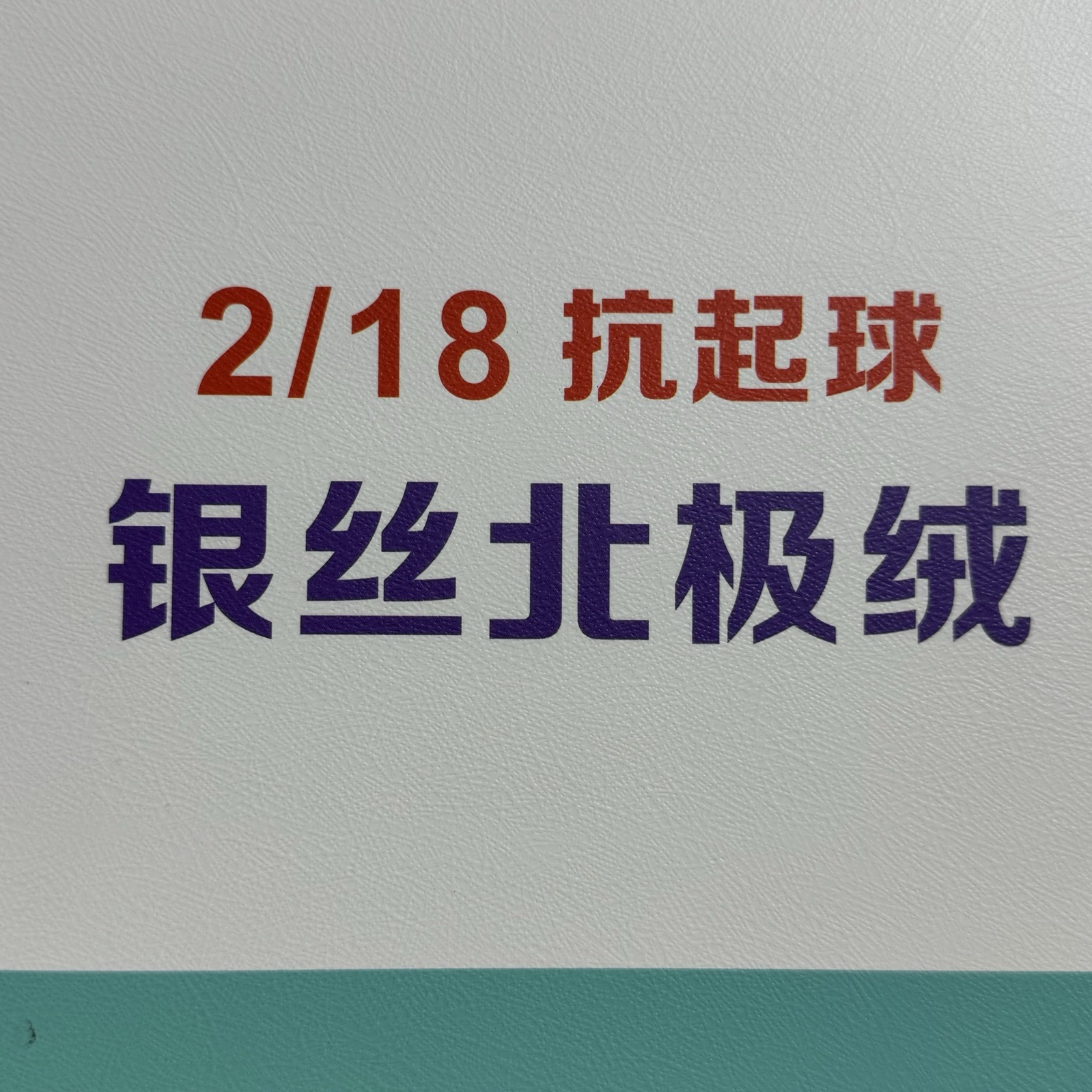 2/18抗起球 銀絲北極絨