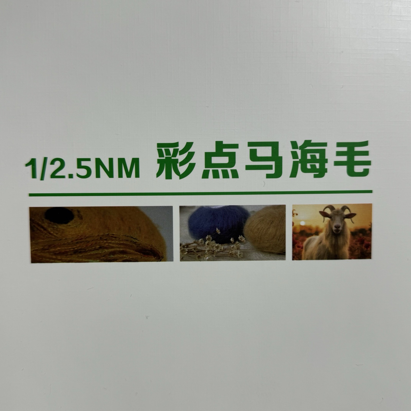 1/2.5NM彩點馬海毛
