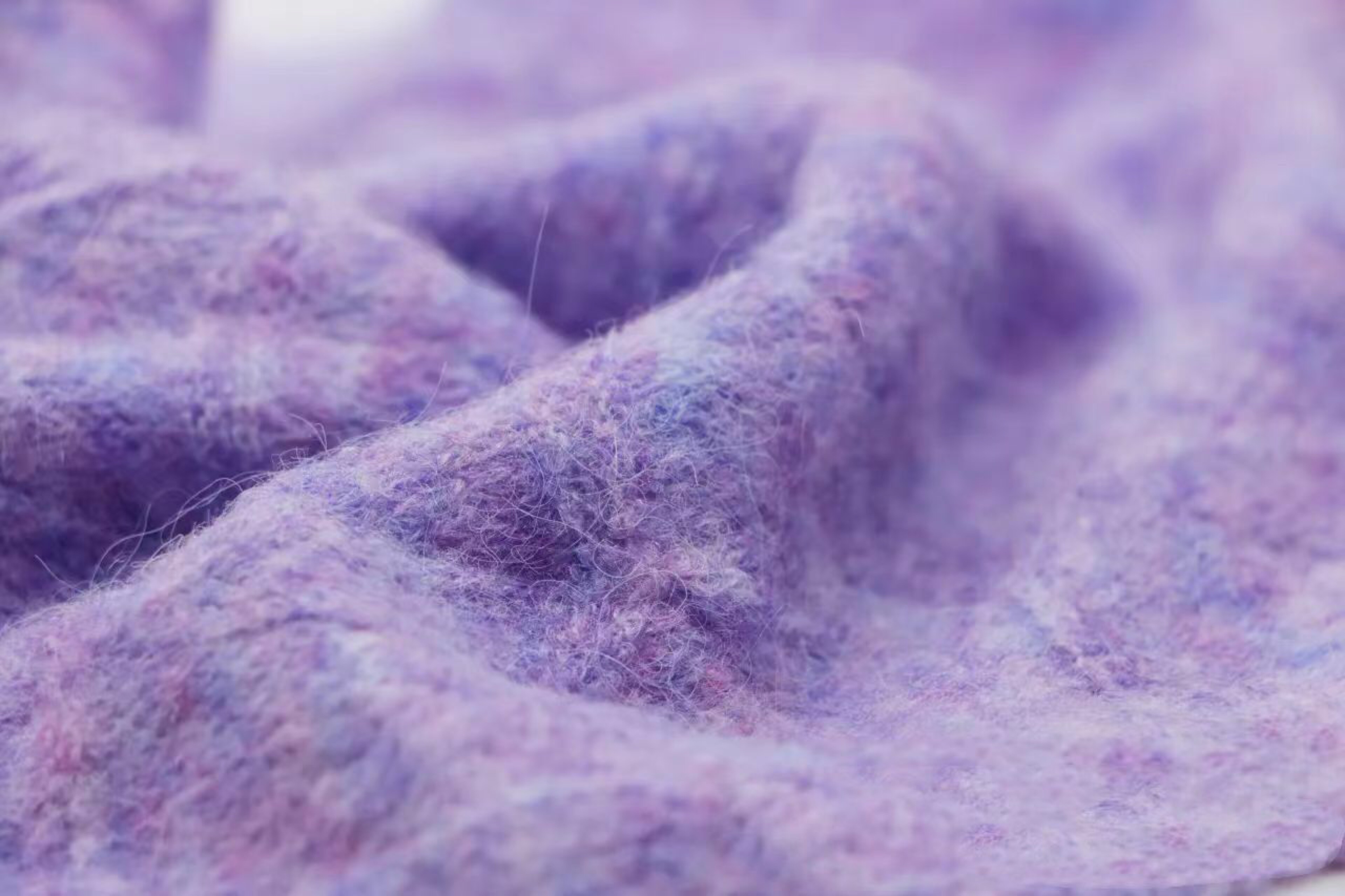 海滩·弹力秘鲁羊驼