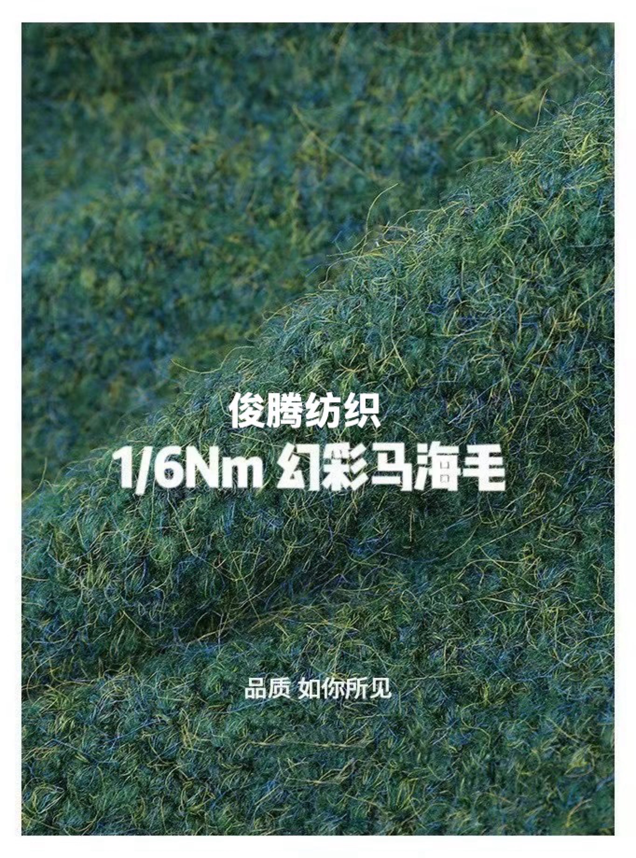 6支幻彩馬海毛 彩絲系列