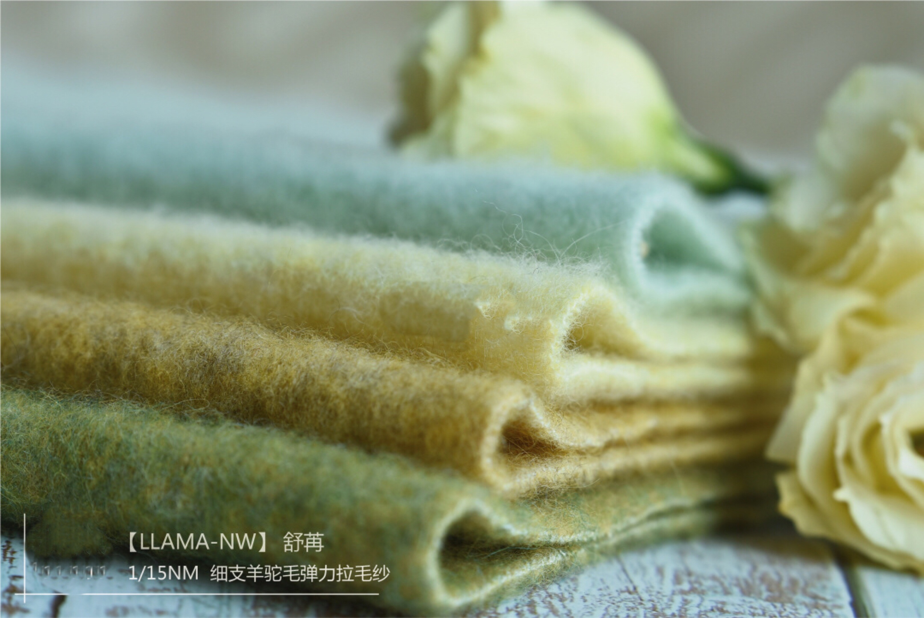 LLAMA-NW 舒苒