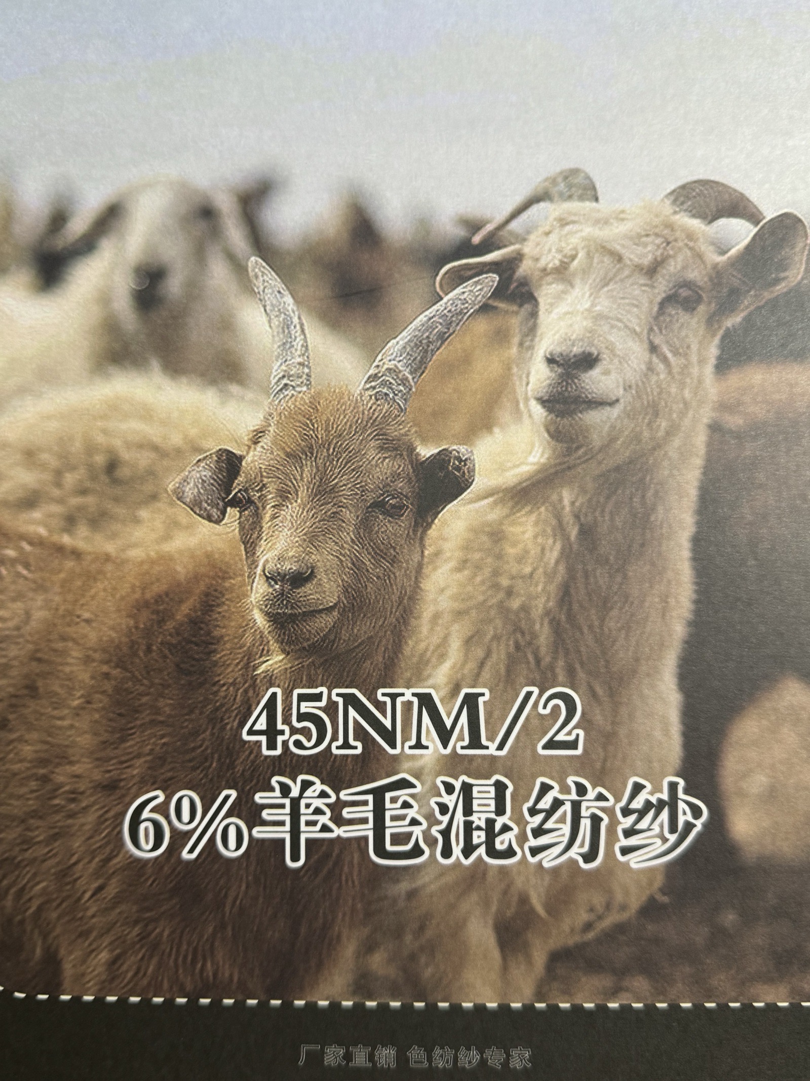 2/45NM 6%羊毛混紡紗